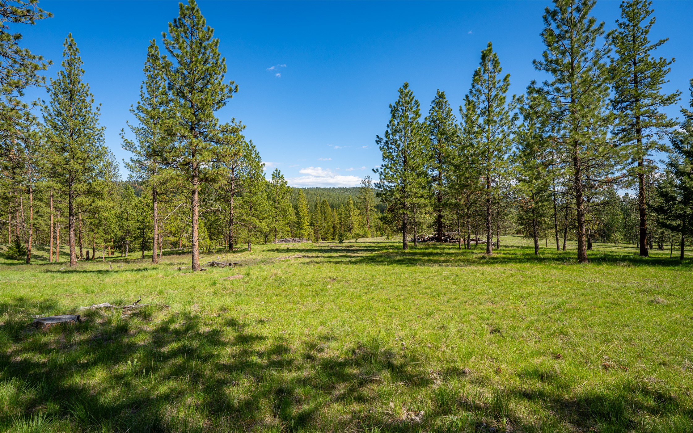 3605 Hubbart Dam Road Property Photo 53