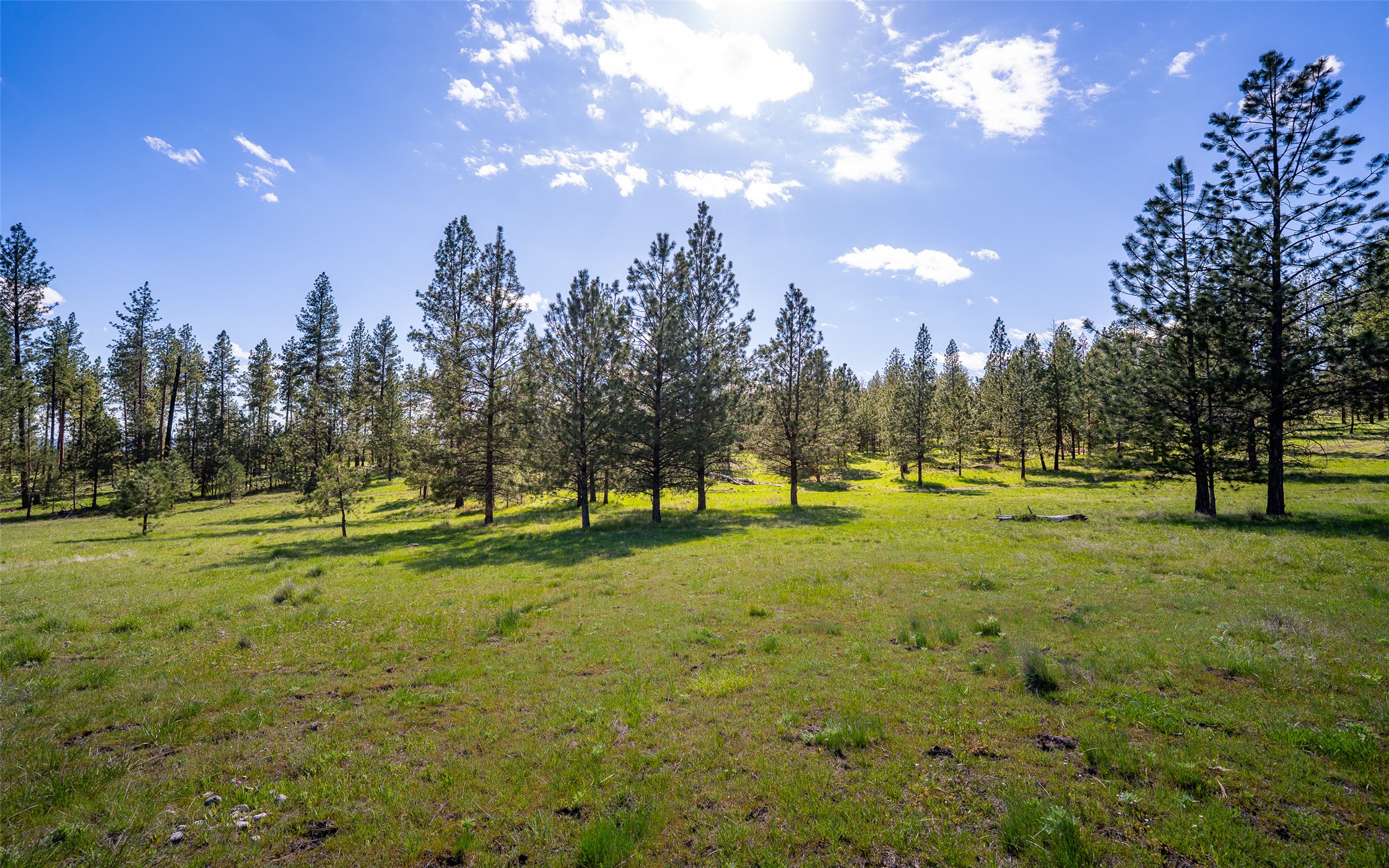 3605 Hubbart Dam Road Property Photo 55
