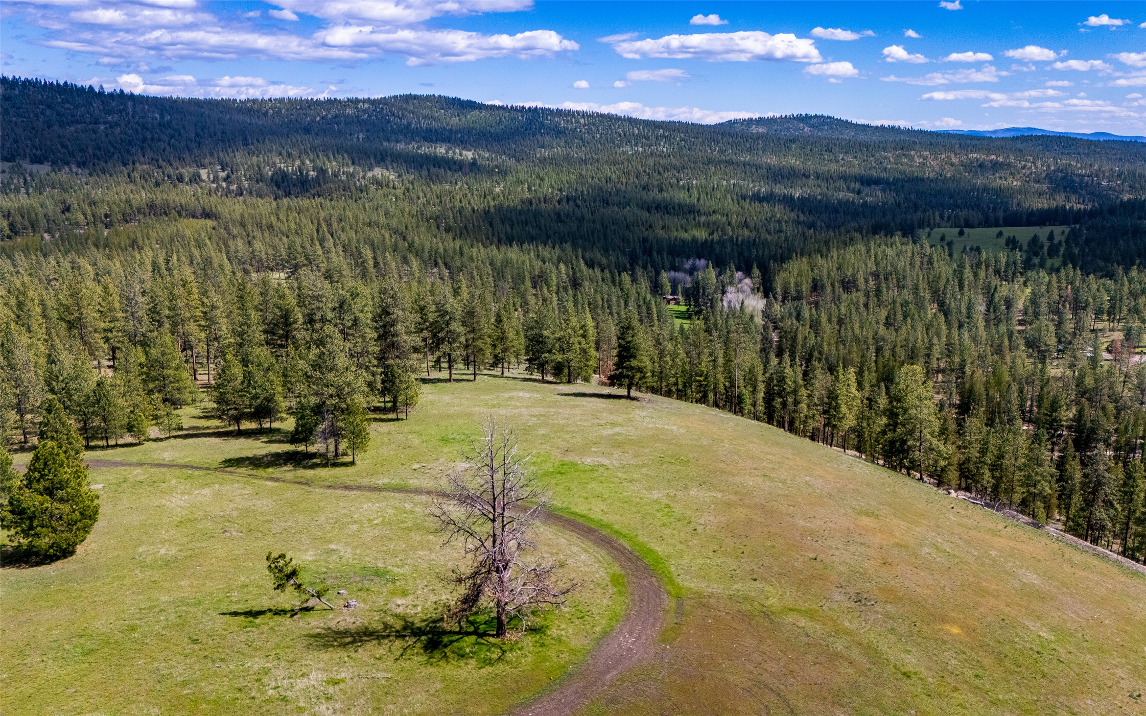 3605 Hubbart Dam Road Property Photo 56