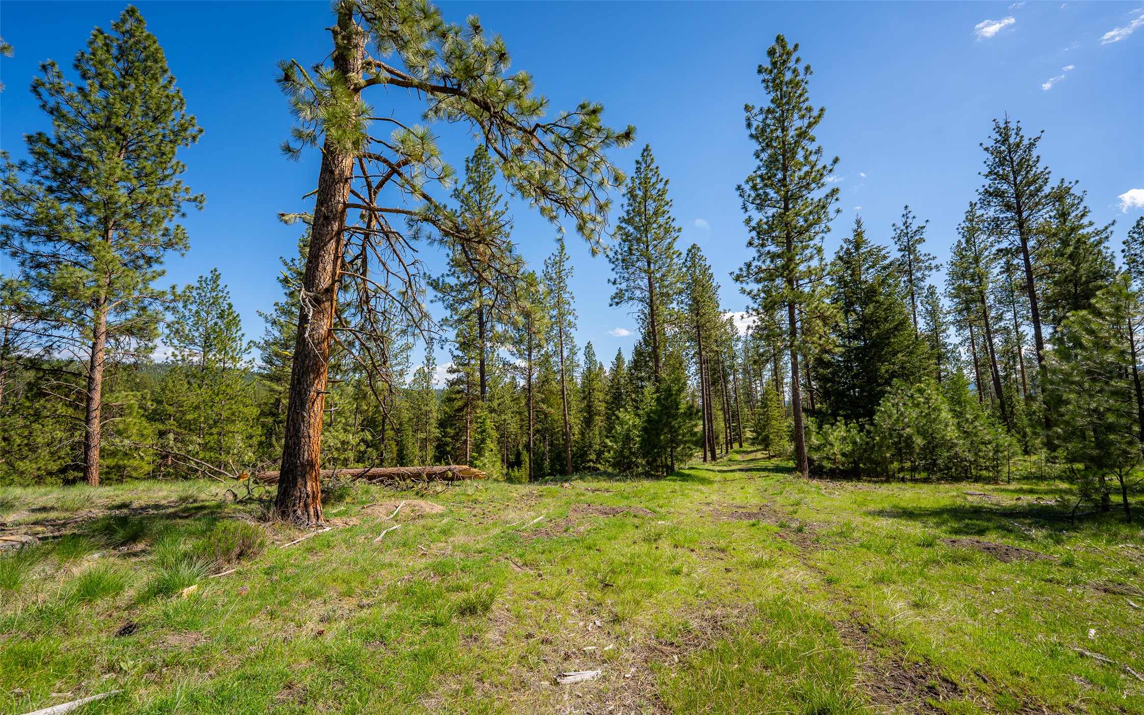 3605 Hubbart Dam Road Property Photo 57