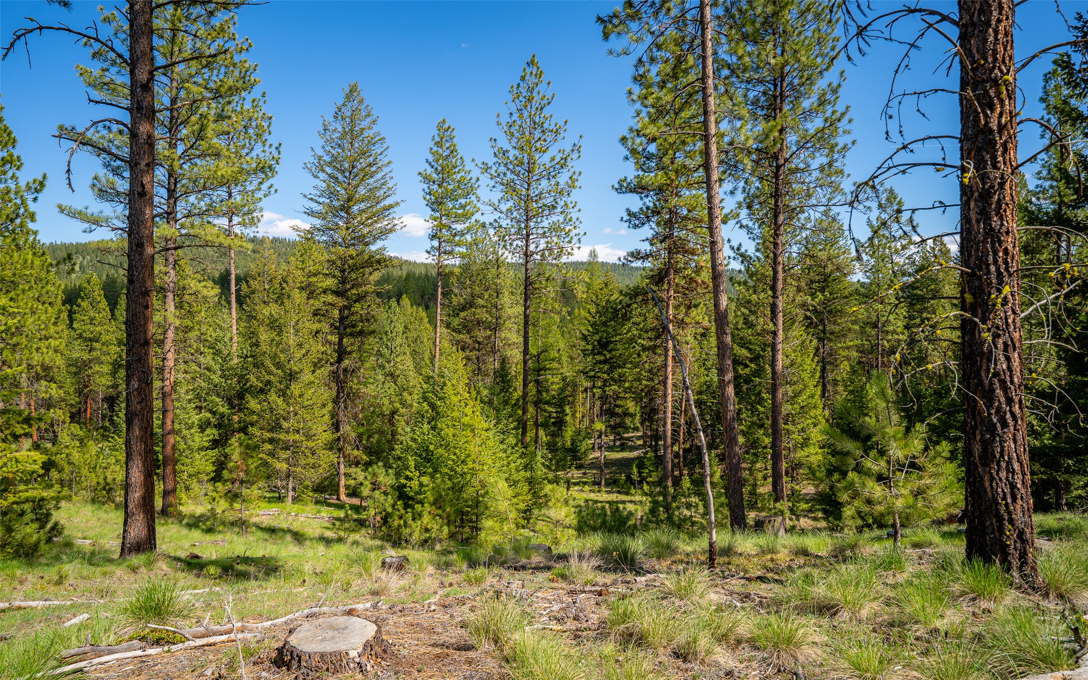 3605 Hubbart Dam Road Property Photo 58