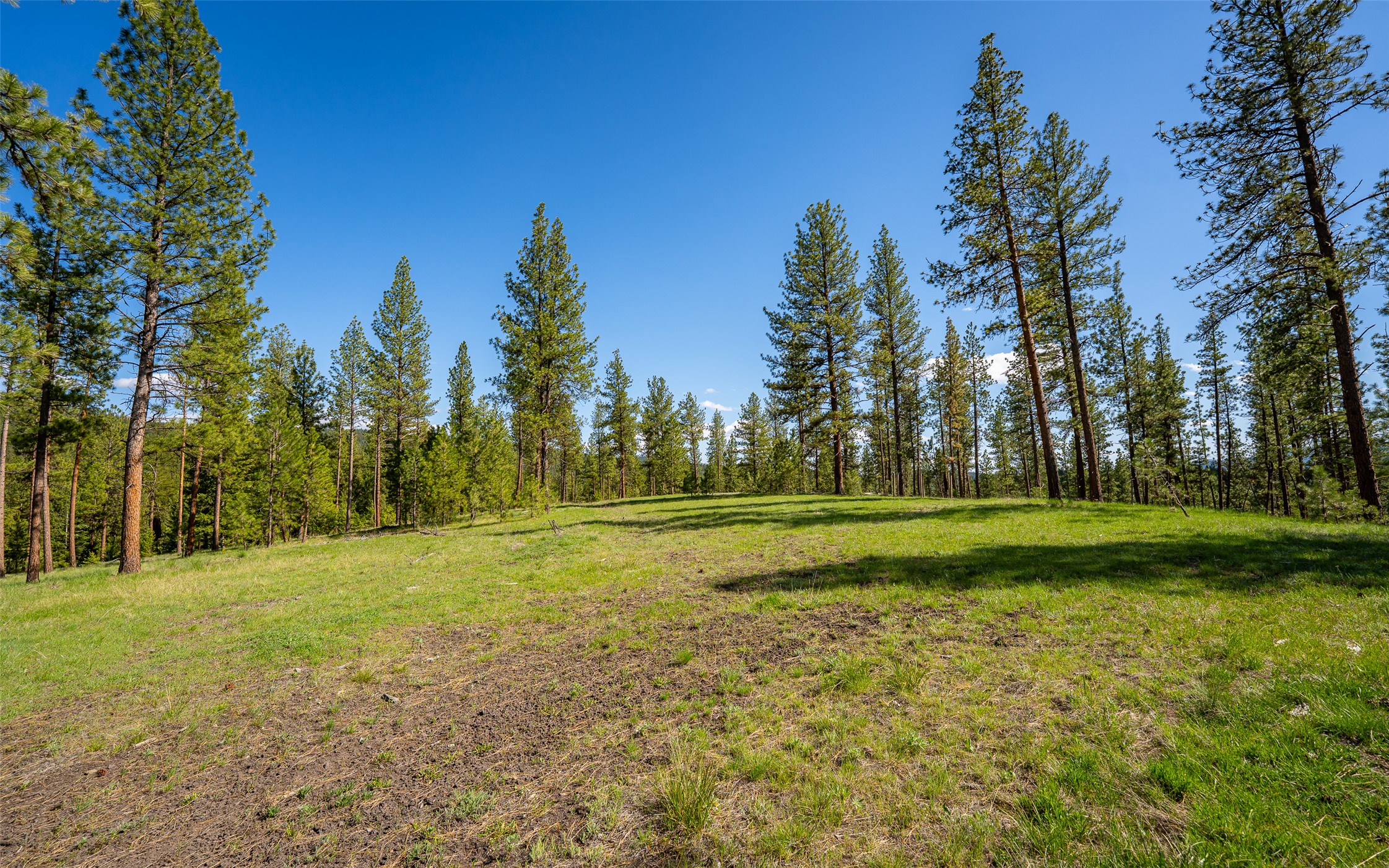 3605 Hubbart Dam Road Property Photo 59