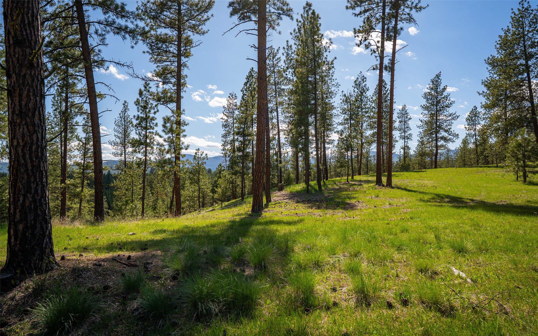 3605 Hubbart Dam Road Property Photo 60