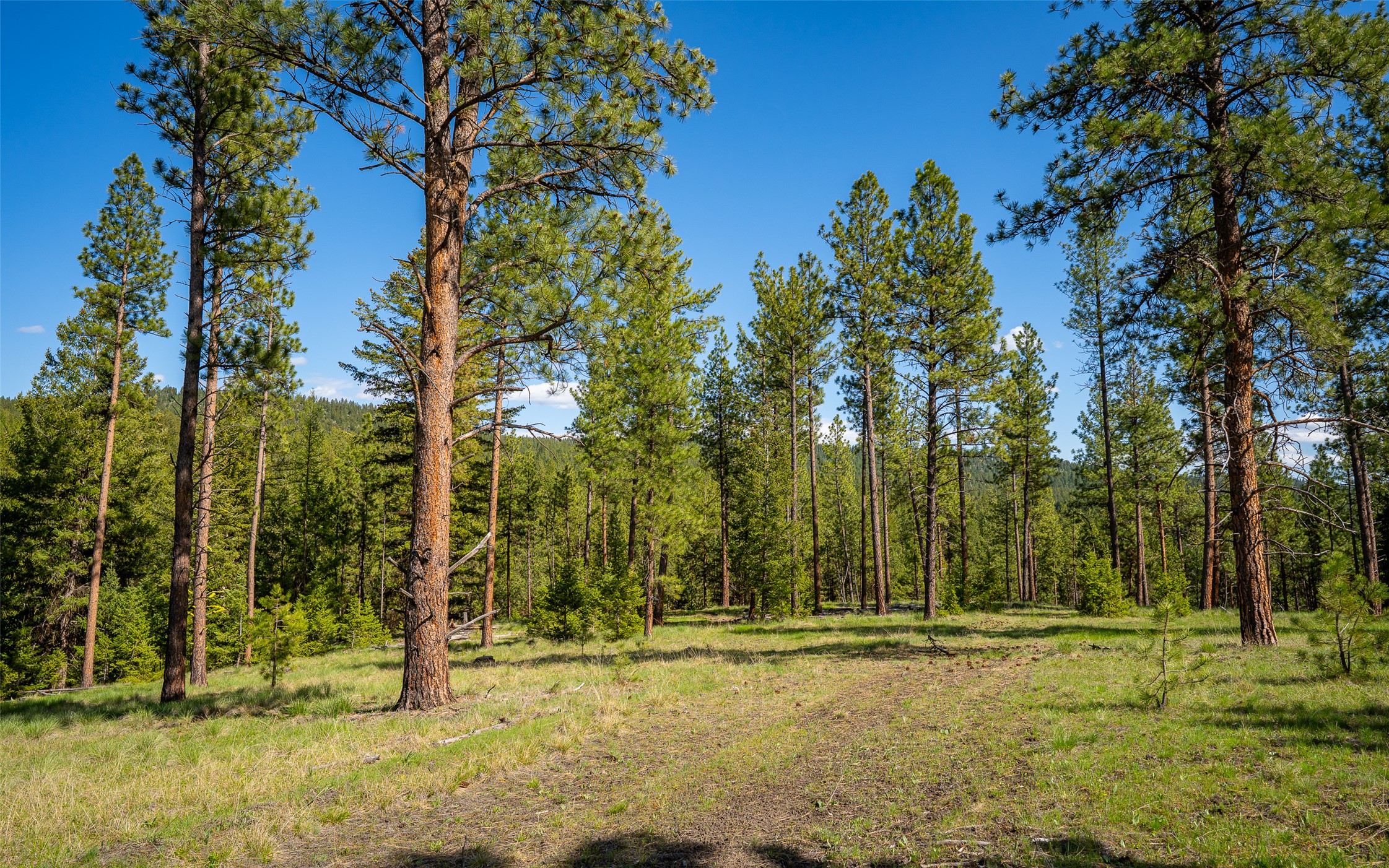 3605 Hubbart Dam Road Property Photo 62