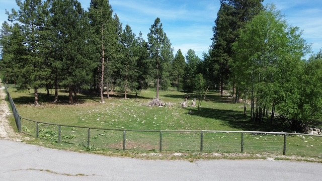 990 Timber Point Lane Property Photo 4