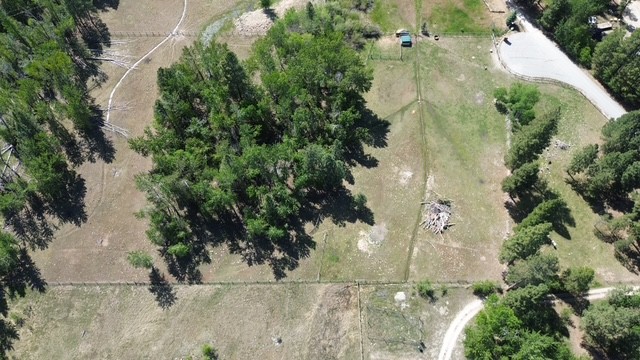 990 Timber Point Lane Property Photo 8