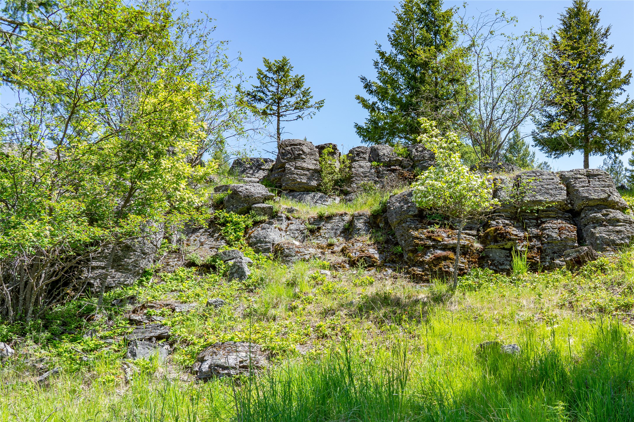 1193 Whispering Rock Road Property Photo 7