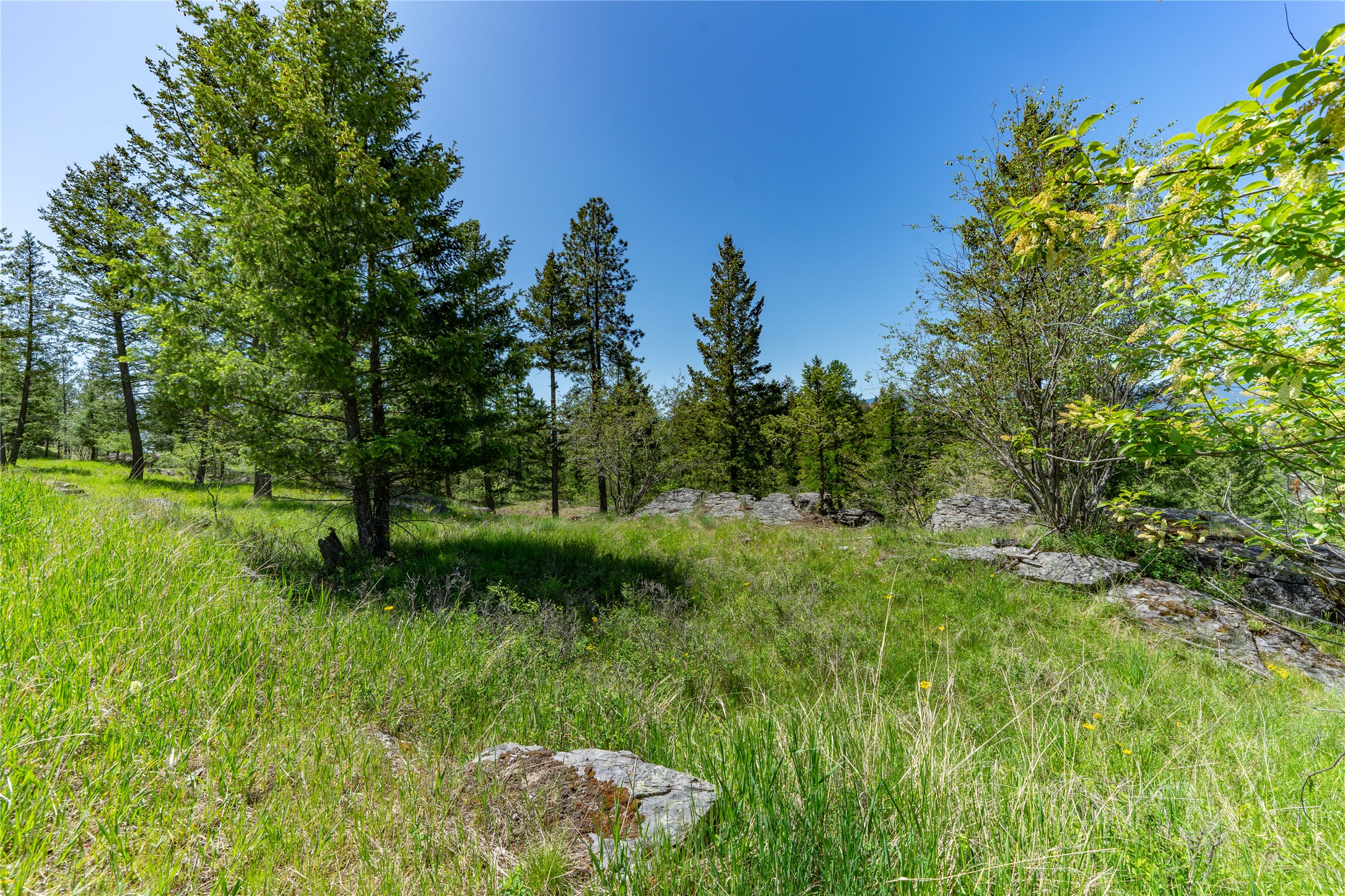 1193 Whispering Rock Road Property Photo 9