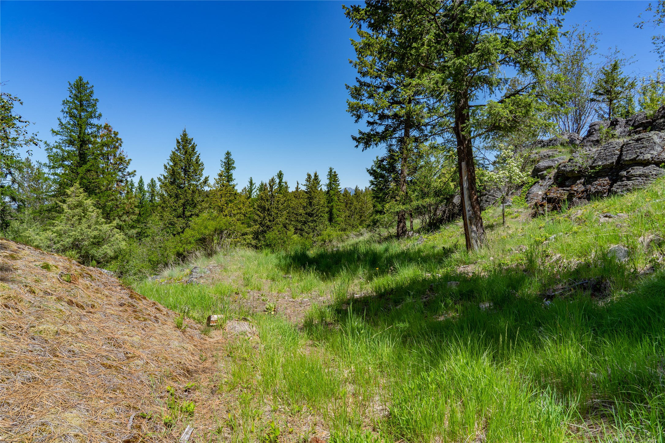 1193 Whispering Rock Road Property Photo 16