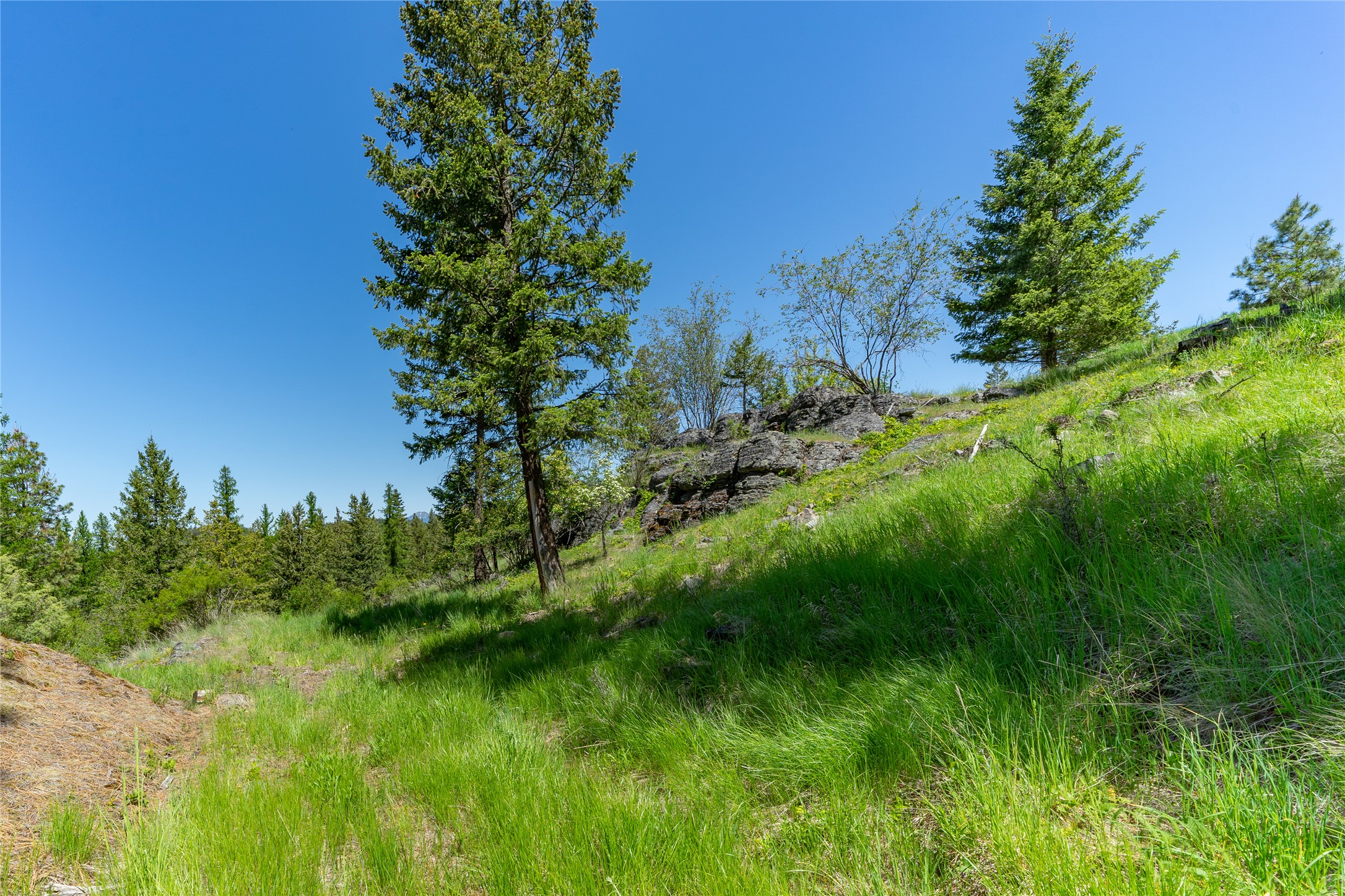 1193 Whispering Rock Road Property Photo 43