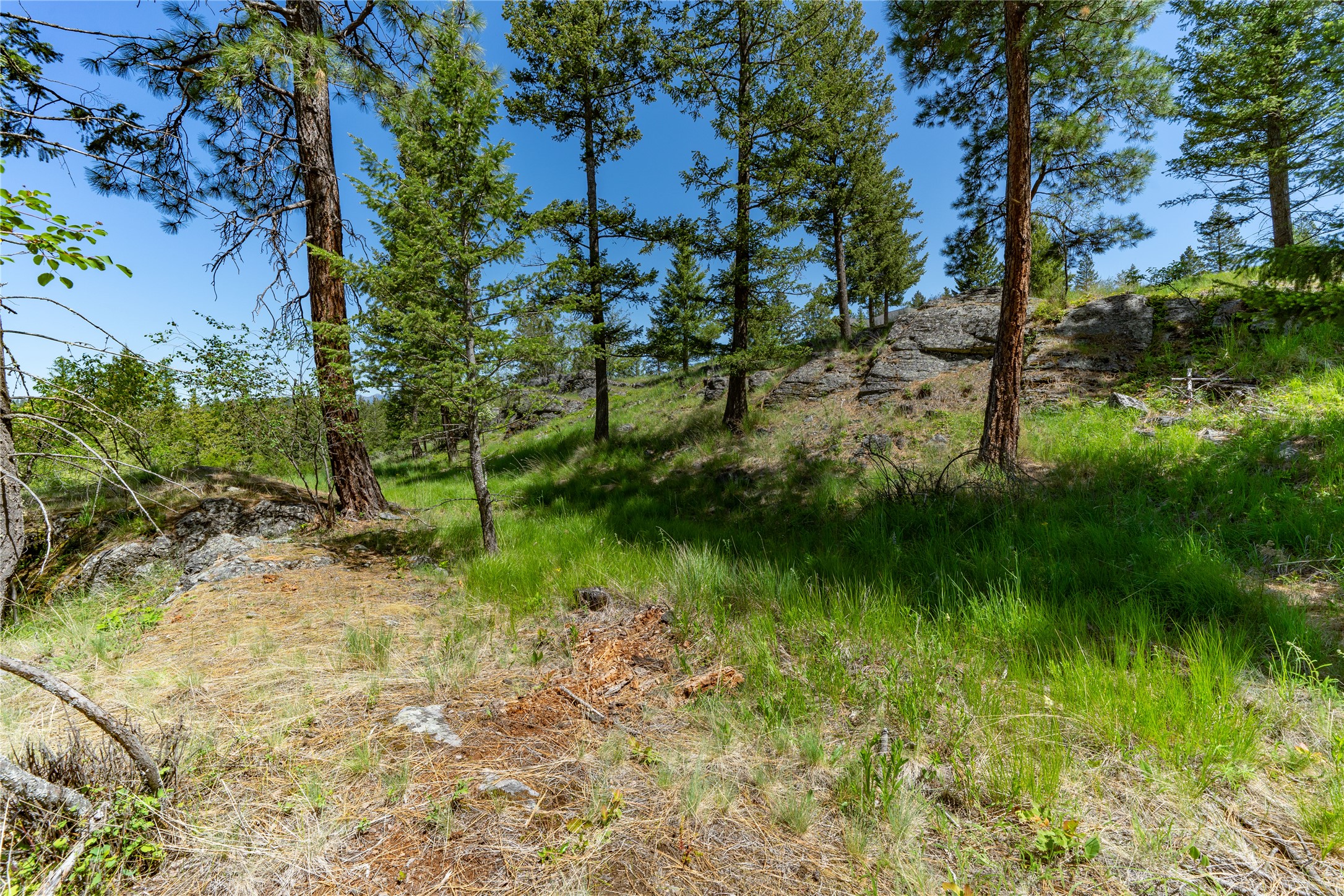 1193 Whispering Rock Road Property Photo 44