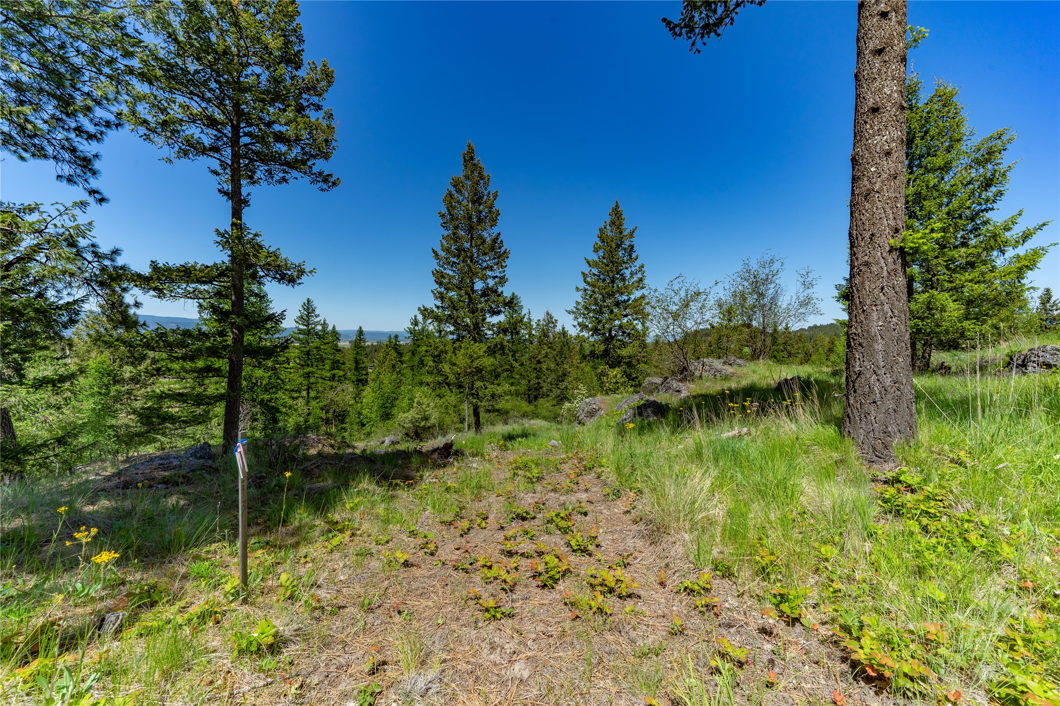 1193 Whispering Rock Road Property Photo 45