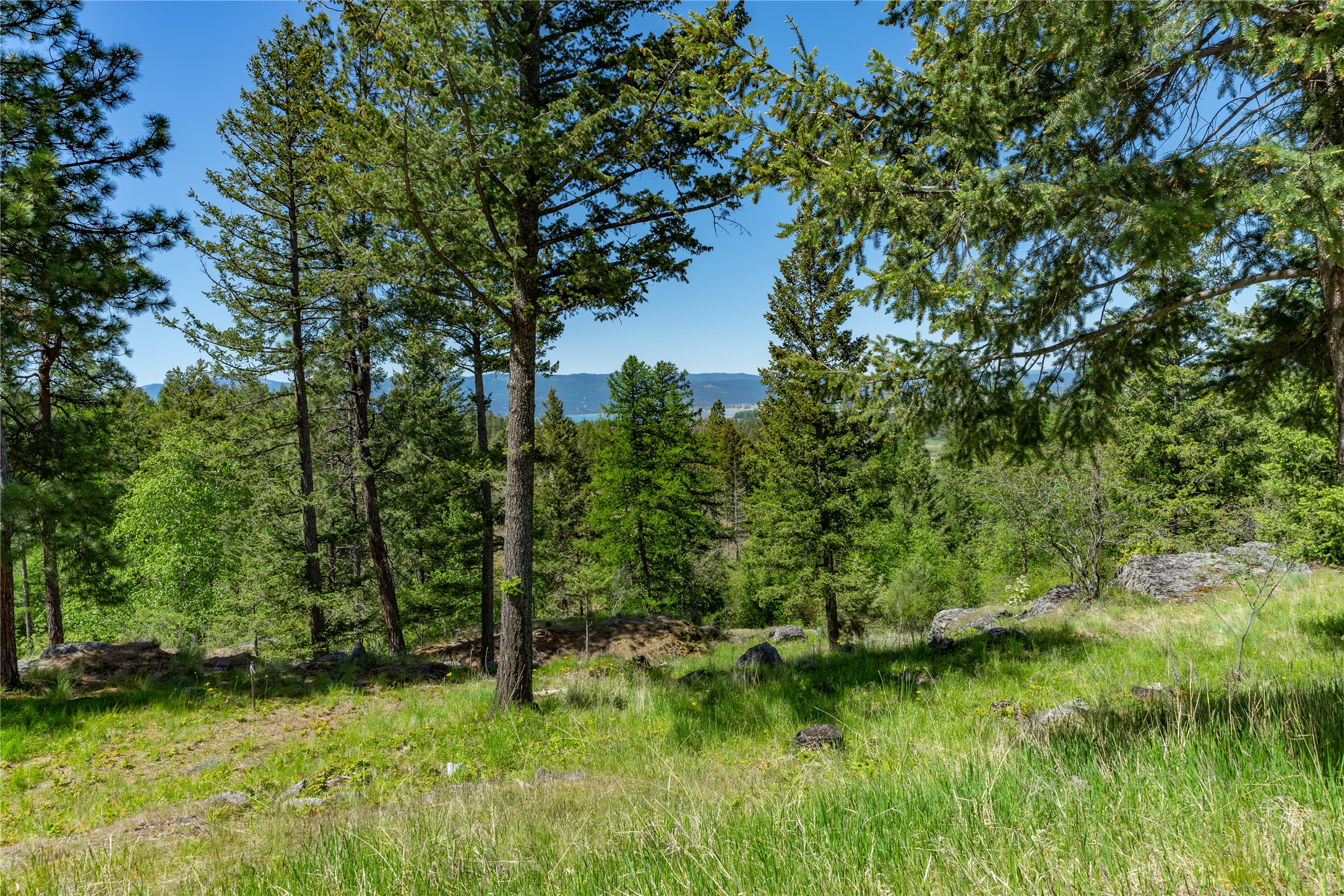 1193 Whispering Rock Road Property Photo 47