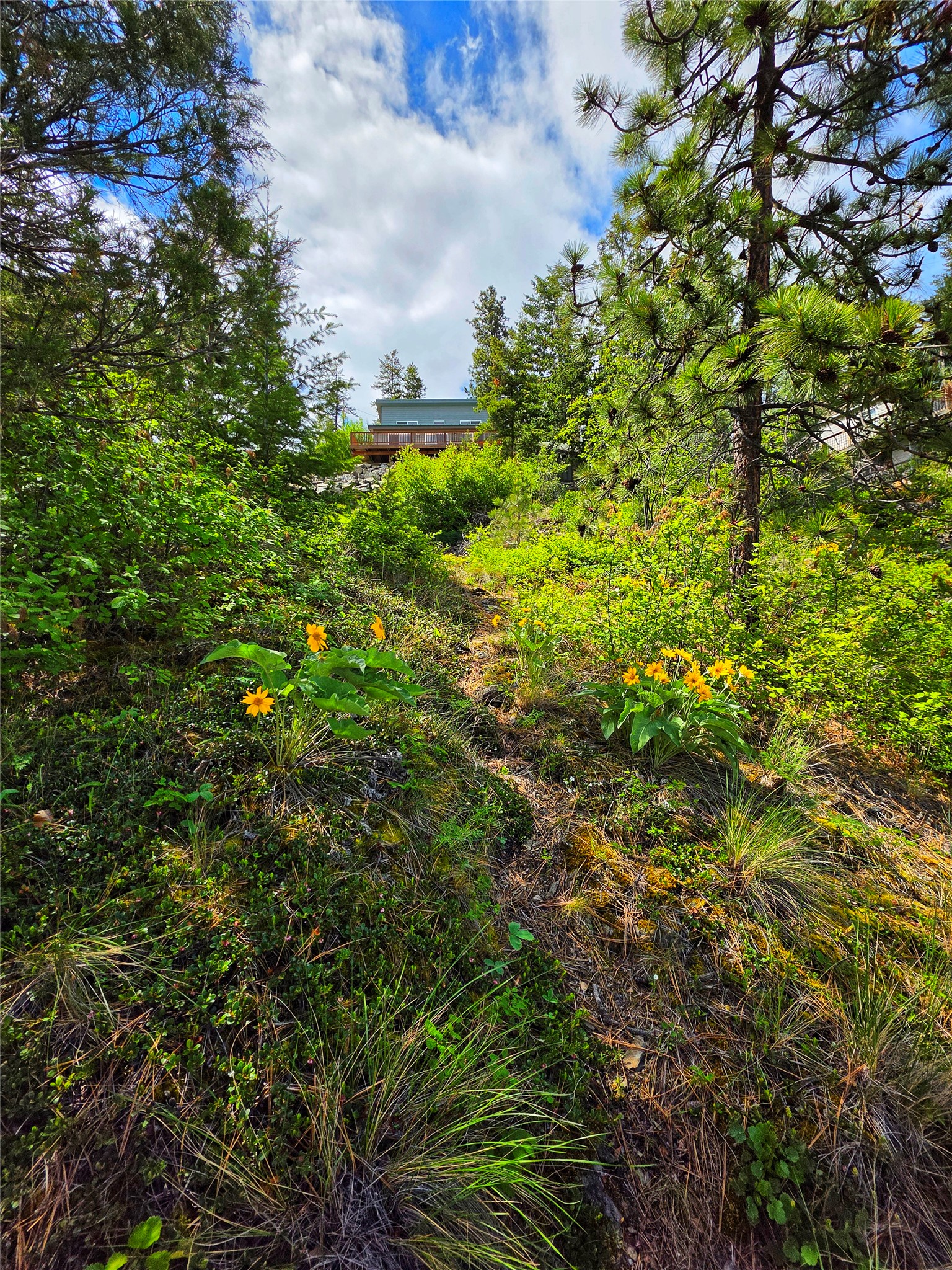 27988 E Matterhorn Road Property Photo 32