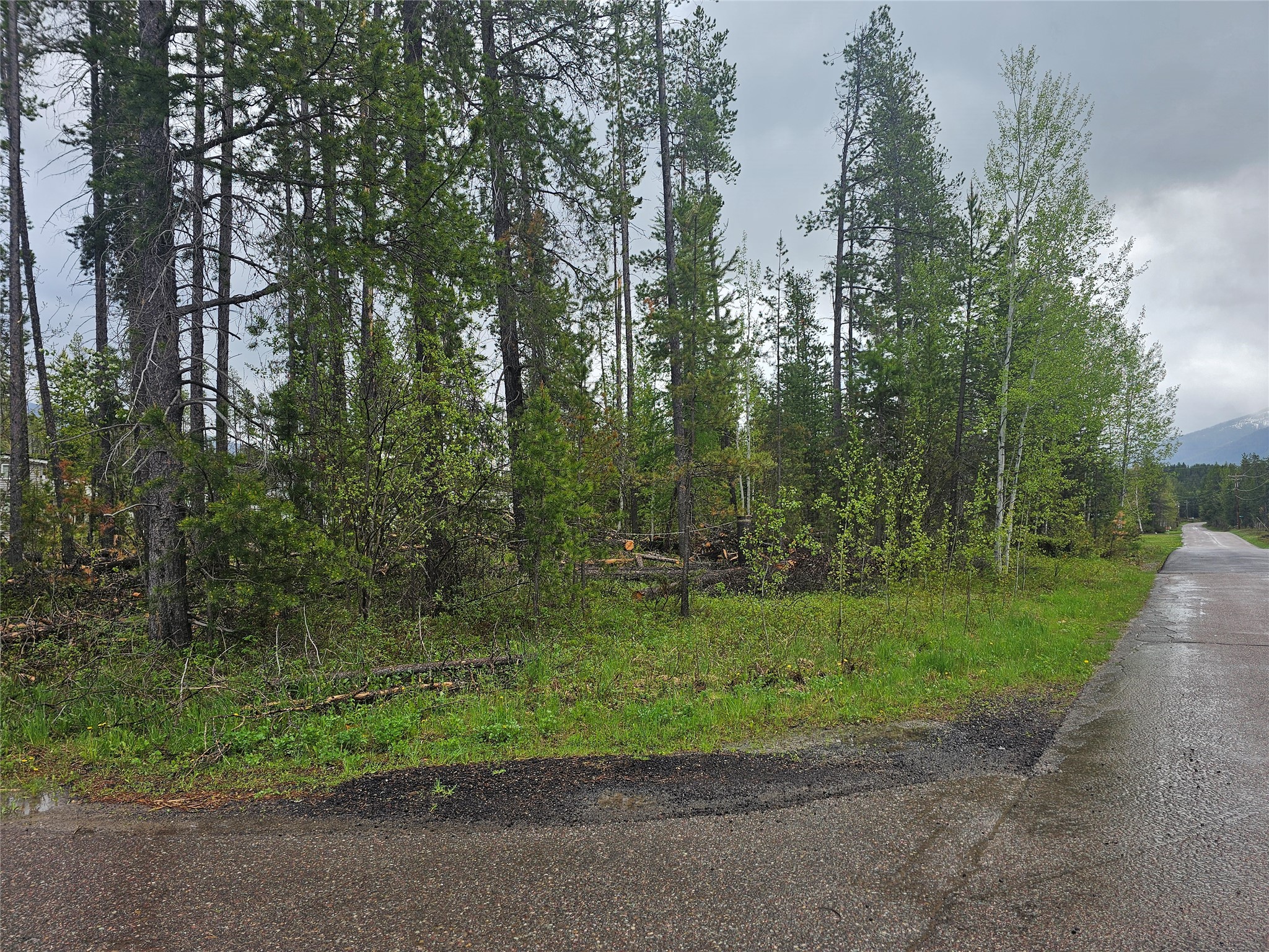 107 Elk Street Property Photo 1