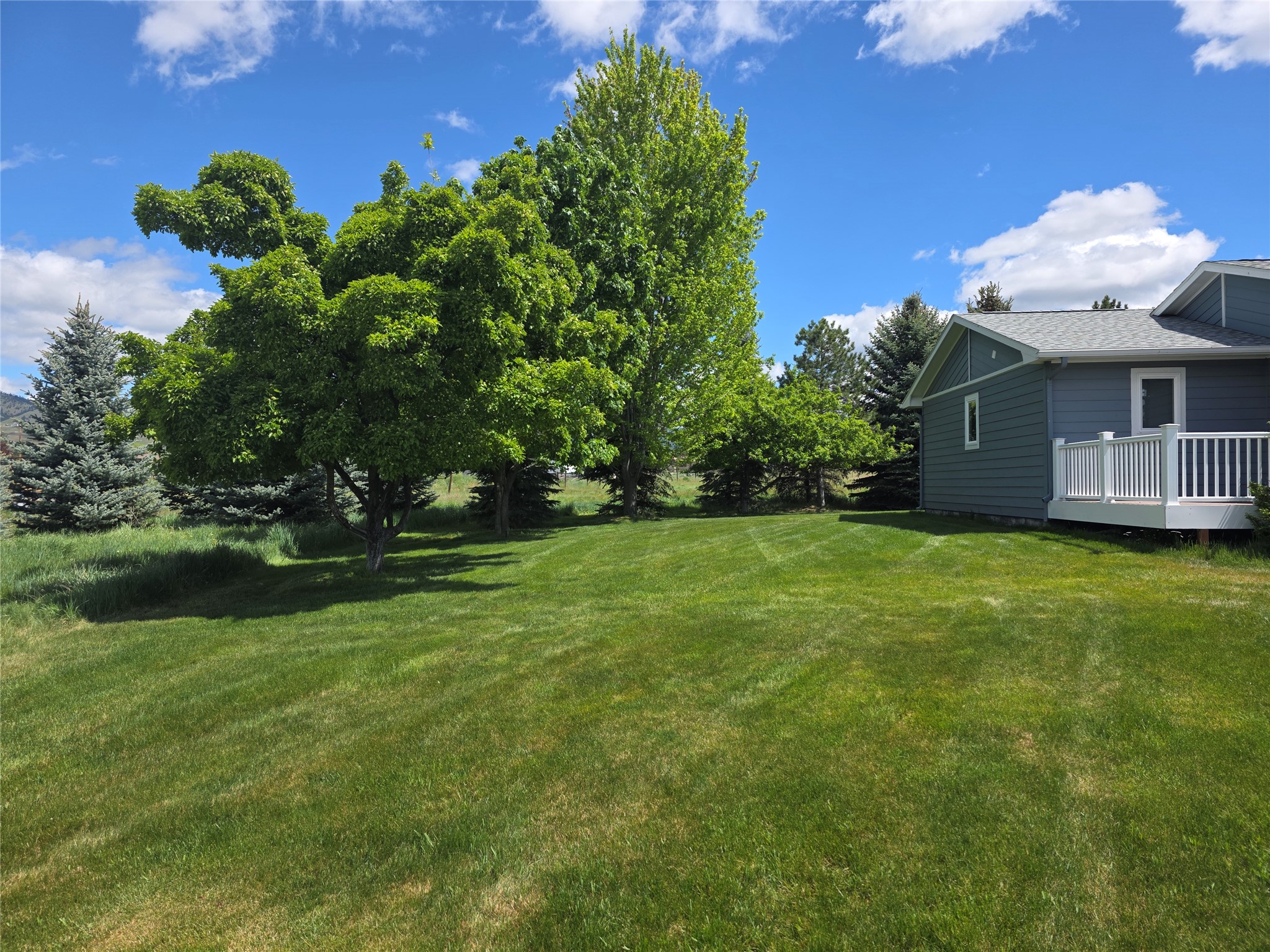 237 Eight Mile Road Property Photo 4