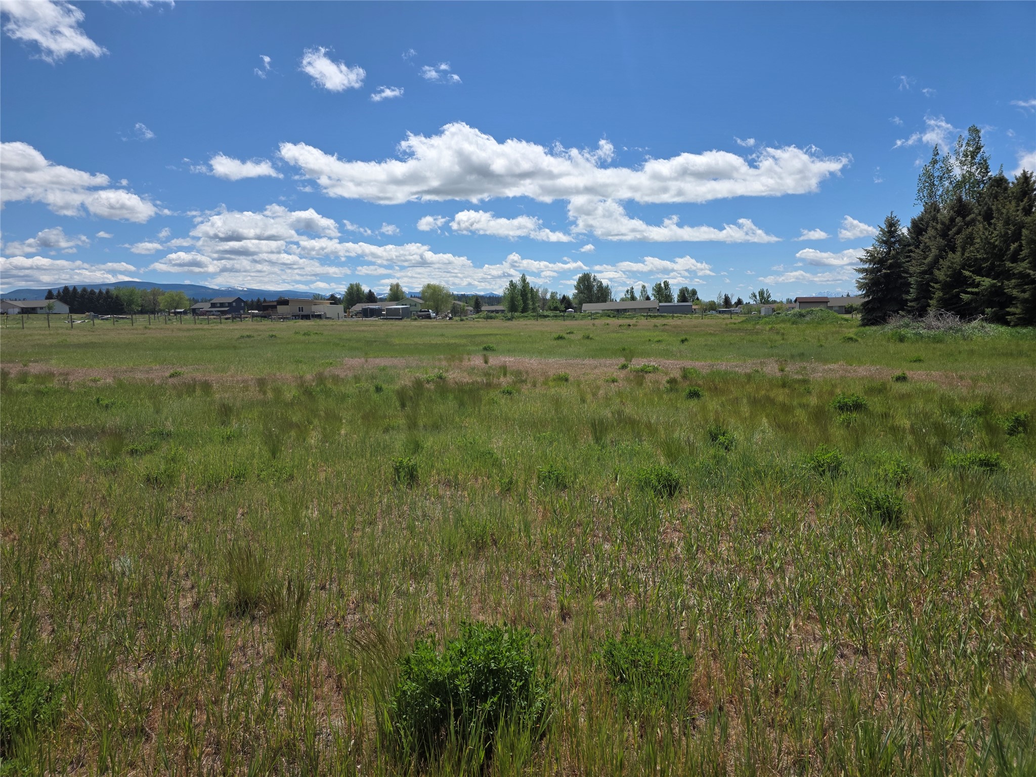 237 Eight Mile Road Property Photo 38