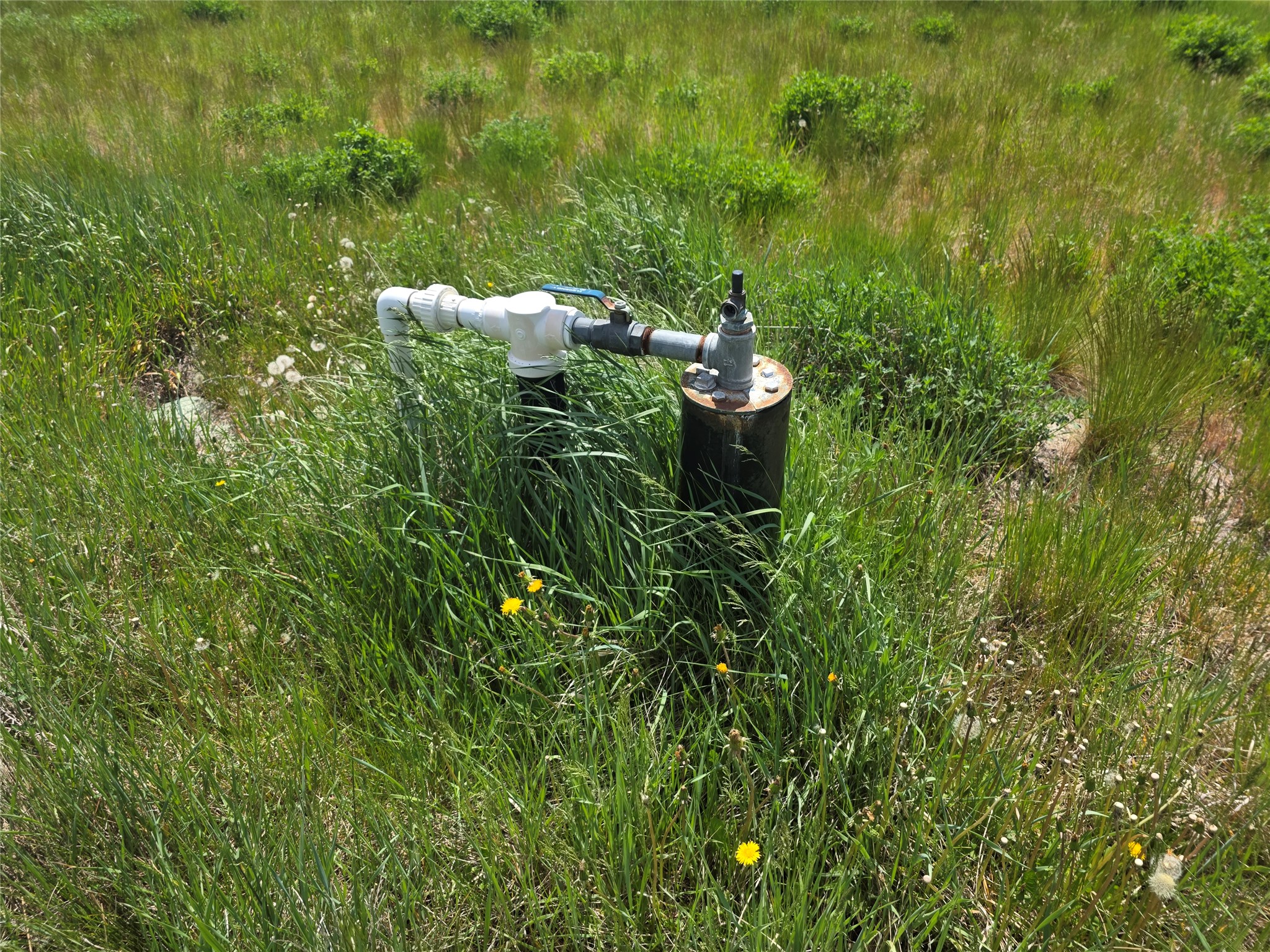 237 Eight Mile Road Property Photo 40