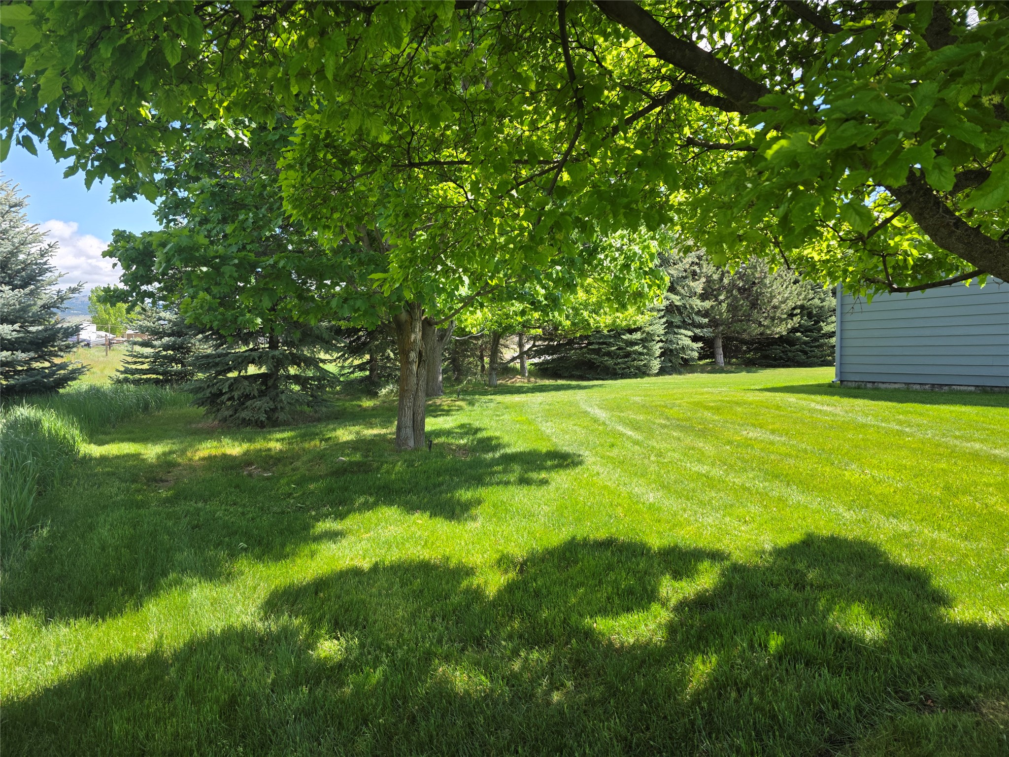 237 Eight Mile Road Property Photo 42