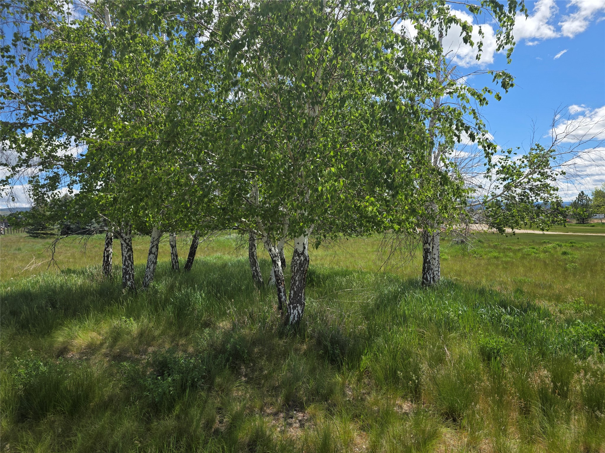 237 Eight Mile Road Property Photo 44
