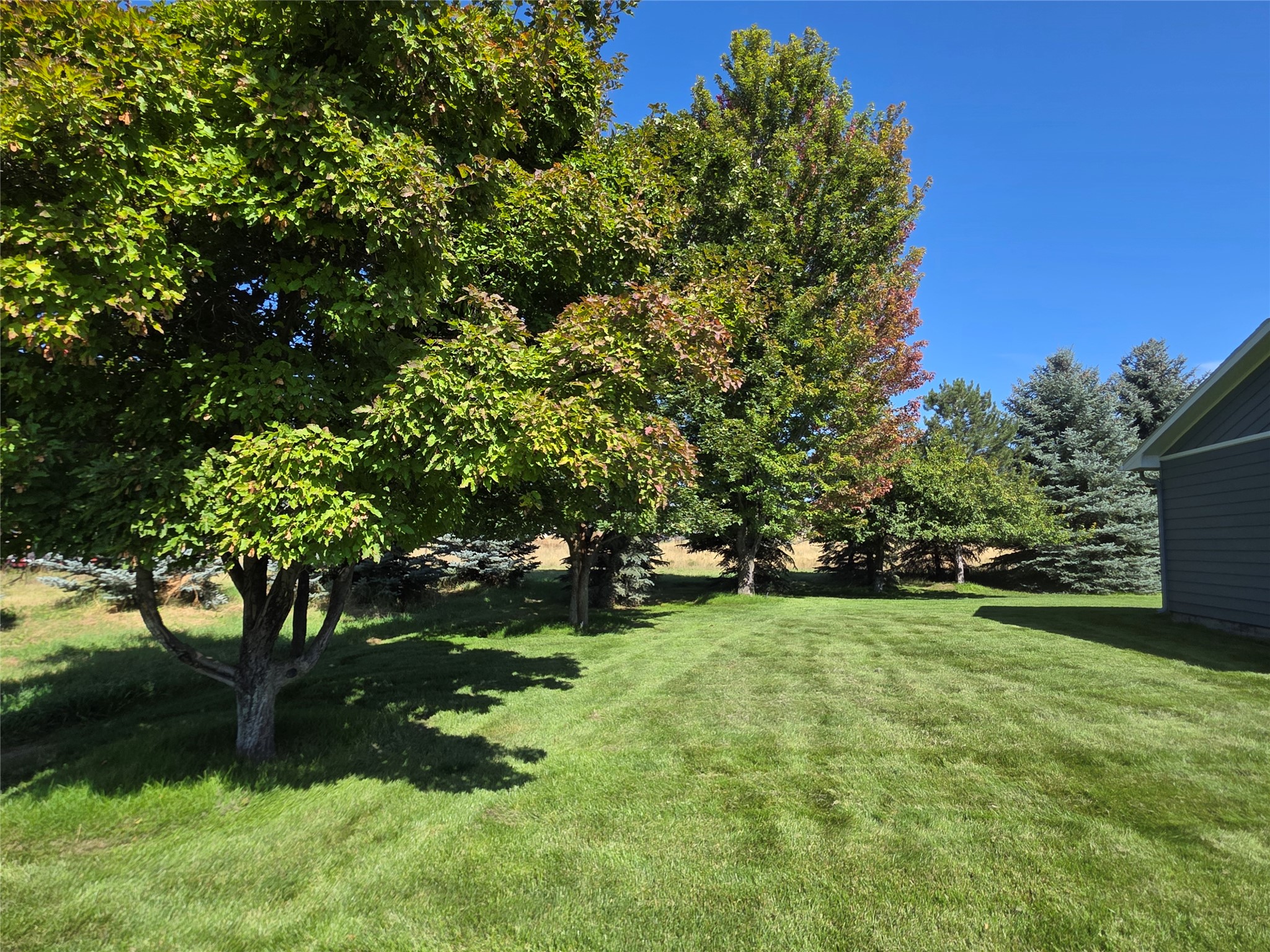 237 Eight Mile Road Property Photo 47