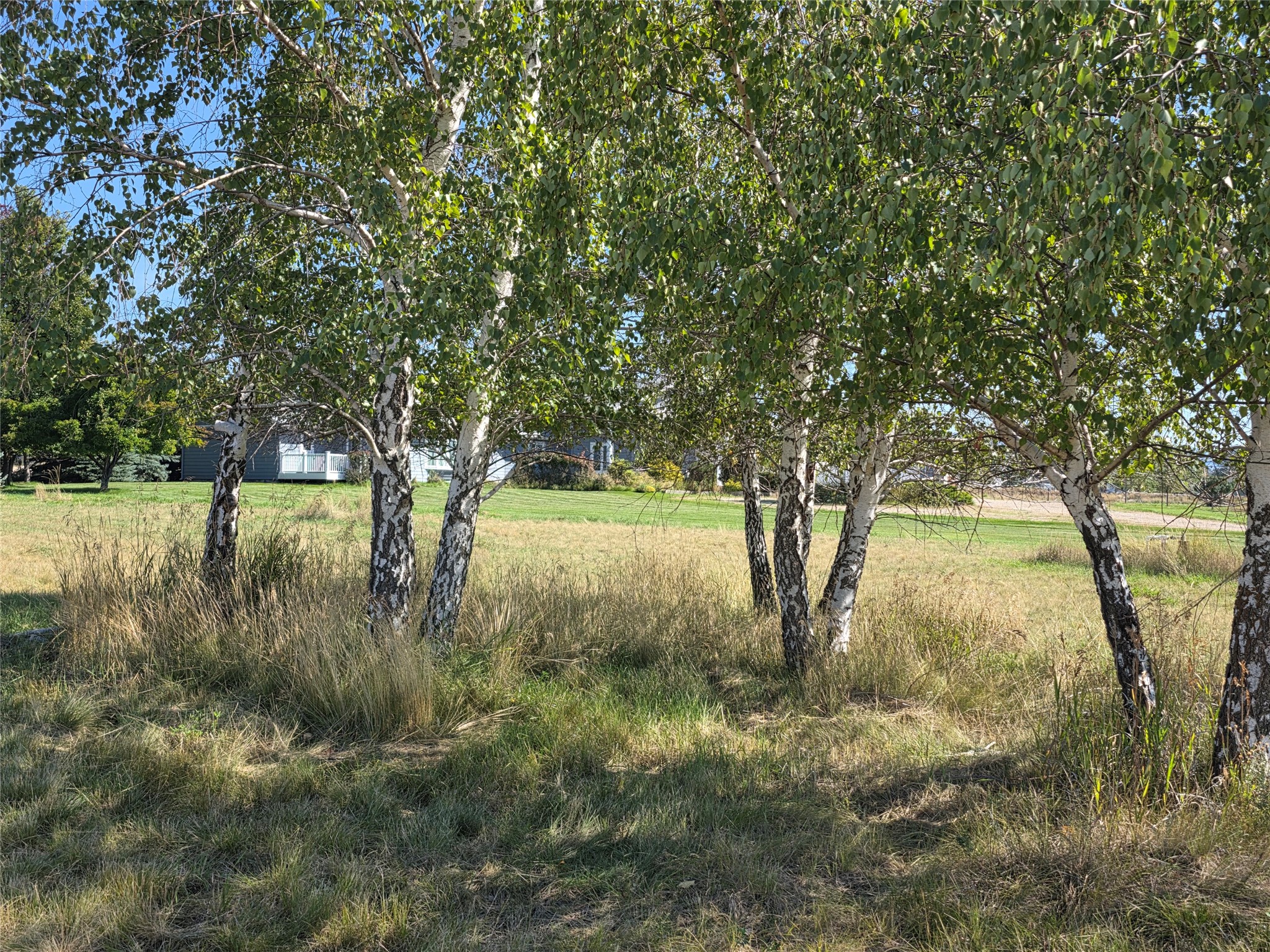 237 Eight Mile Road Property Photo 54