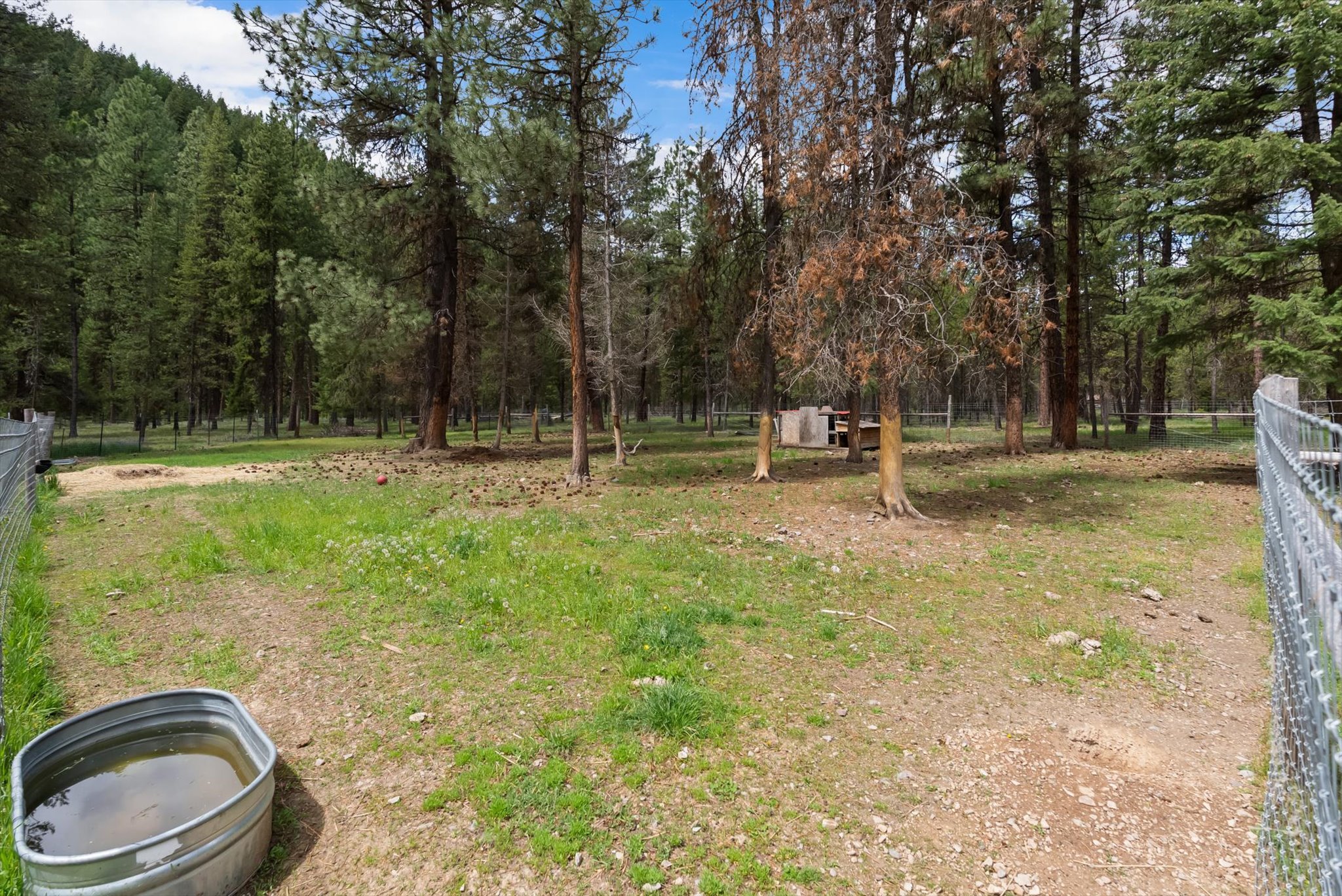 1155 Outback Trail Property Photo 28