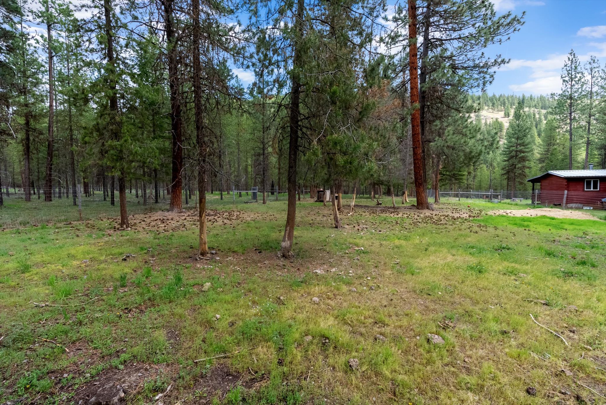 1155 Outback Trail Property Photo 29