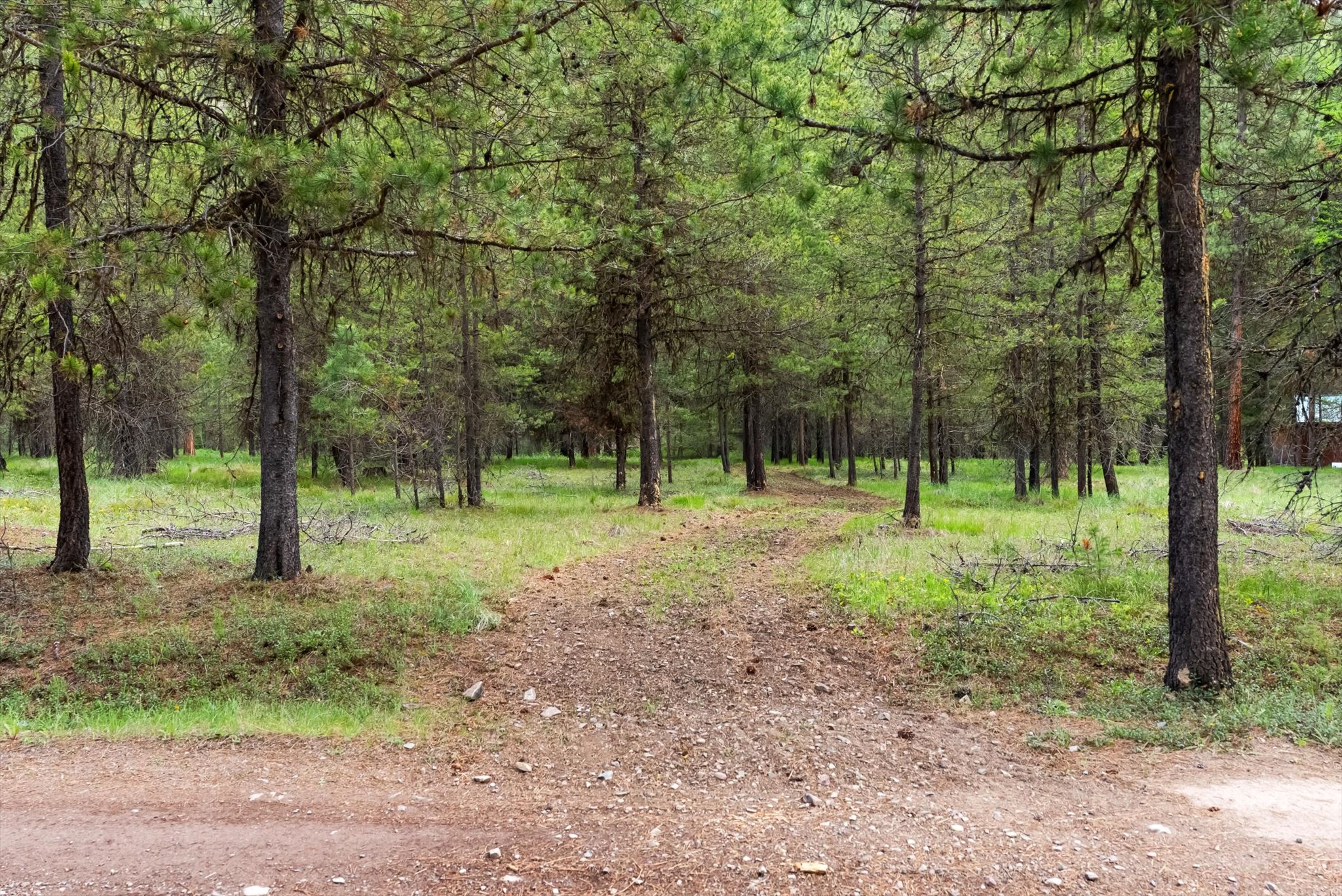 1155 Outback Trail Property Photo 31