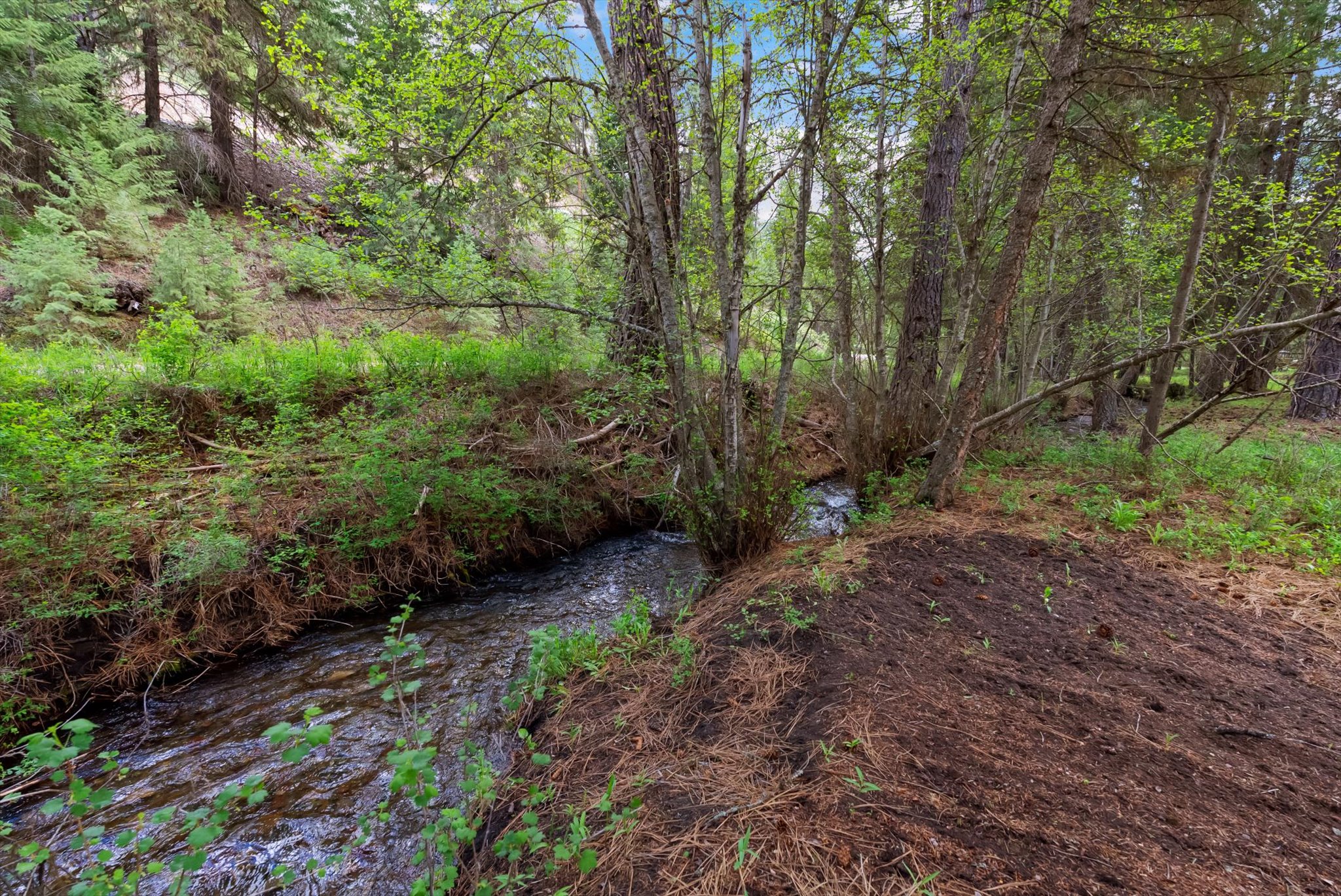 1155 Outback Trail Property Photo 32