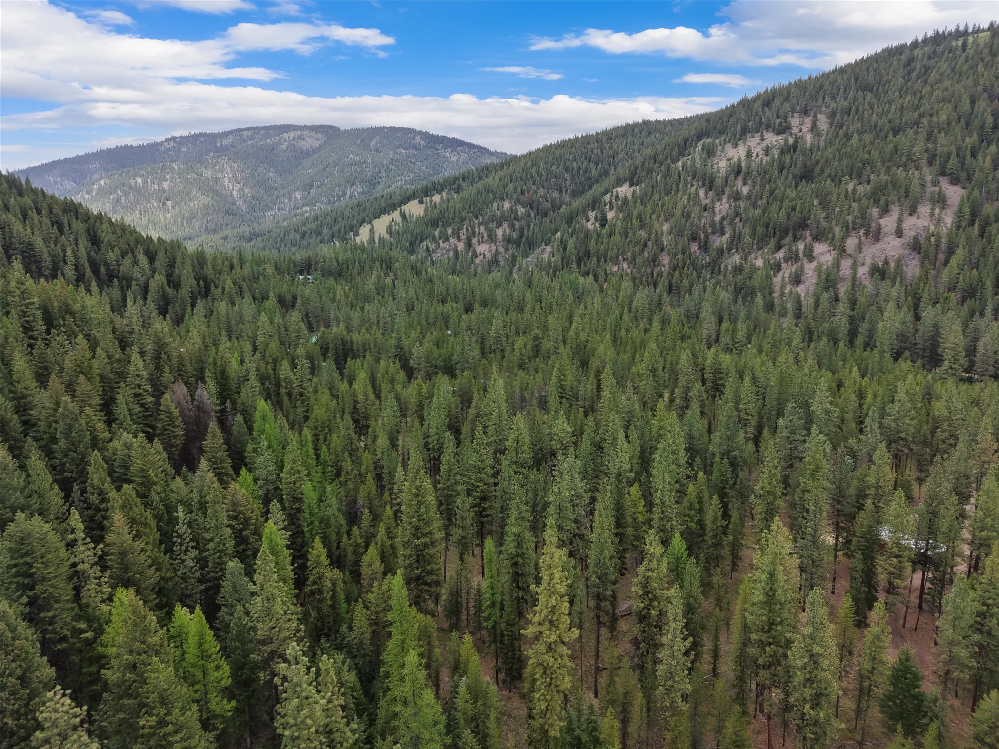 1155 Outback Trail Property Photo 43