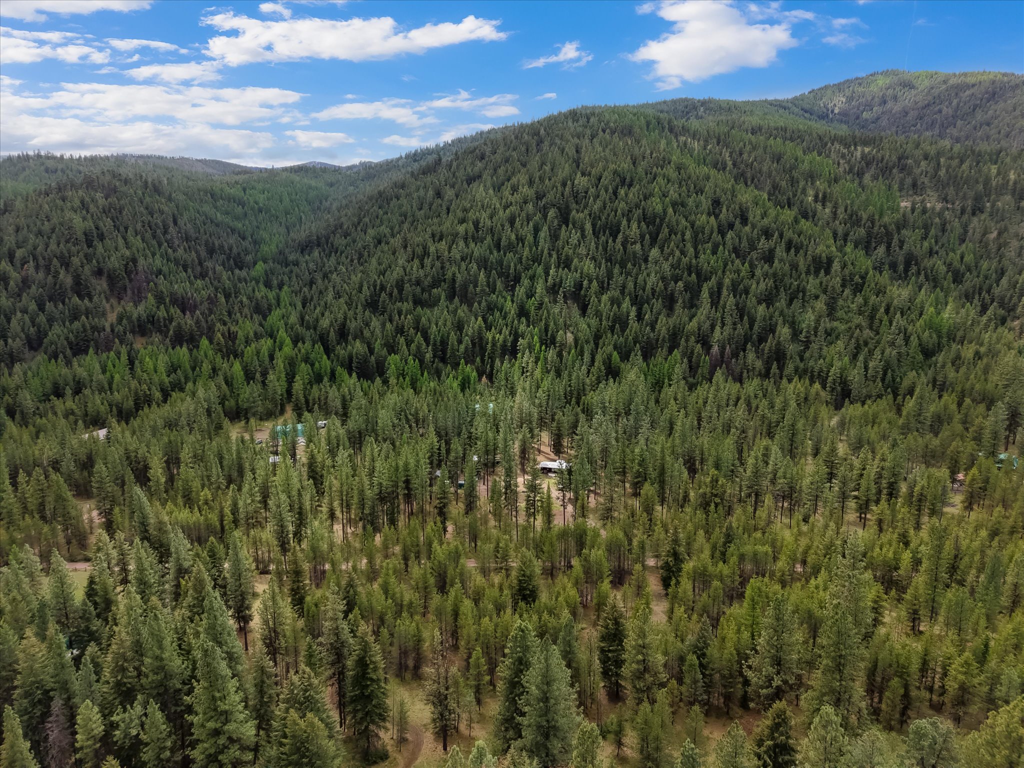 1155 Outback Trail Property Photo 46