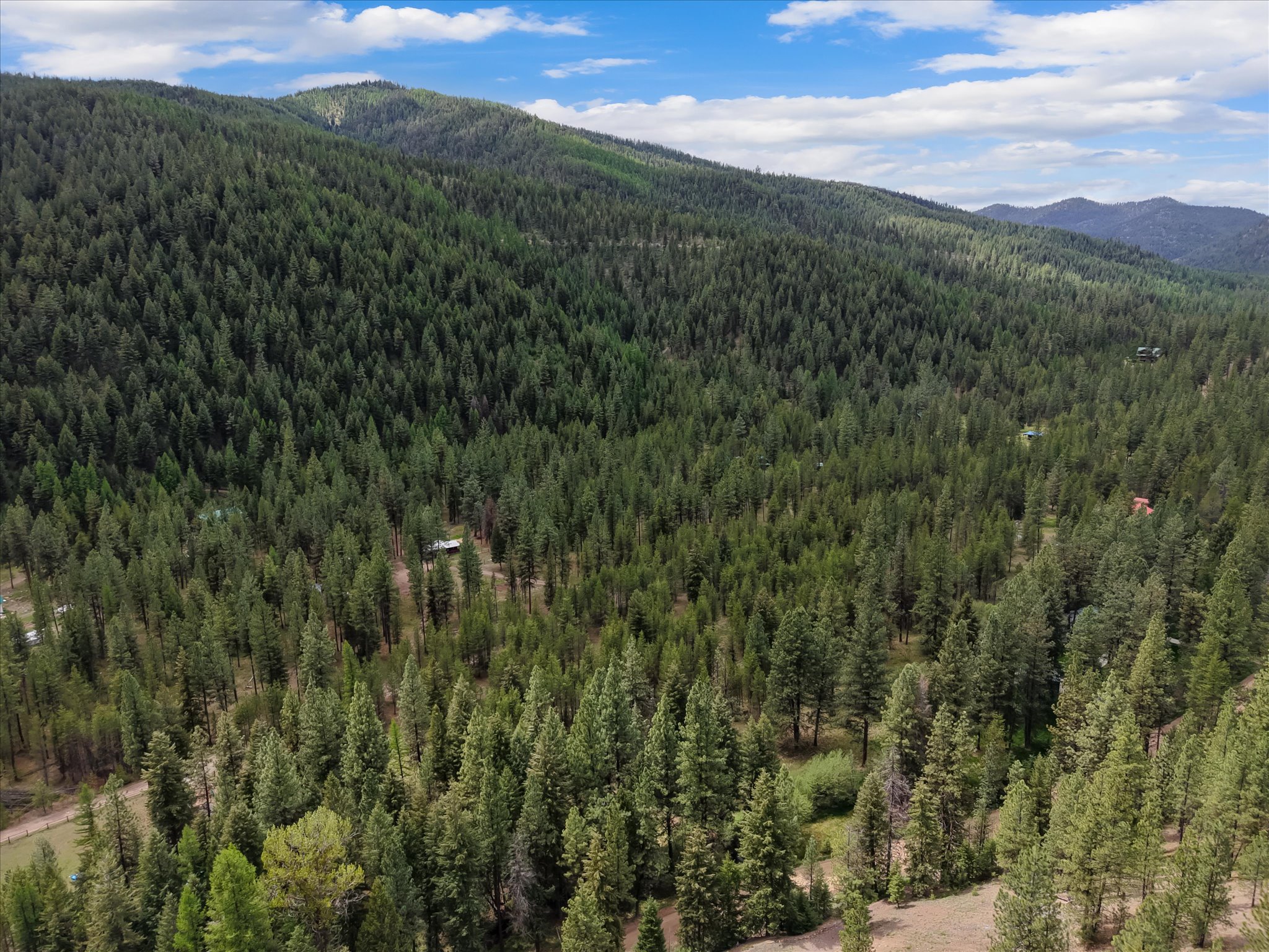 1155 Outback Trail Property Photo 47