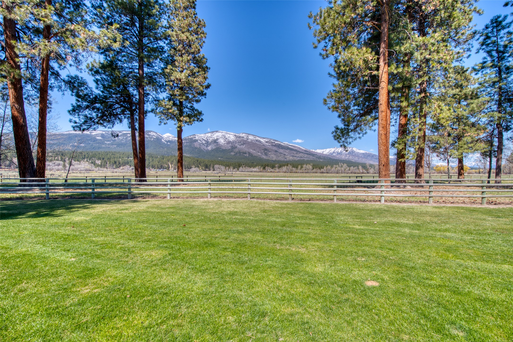 229 Camas Creek Loop Property Photo 4
