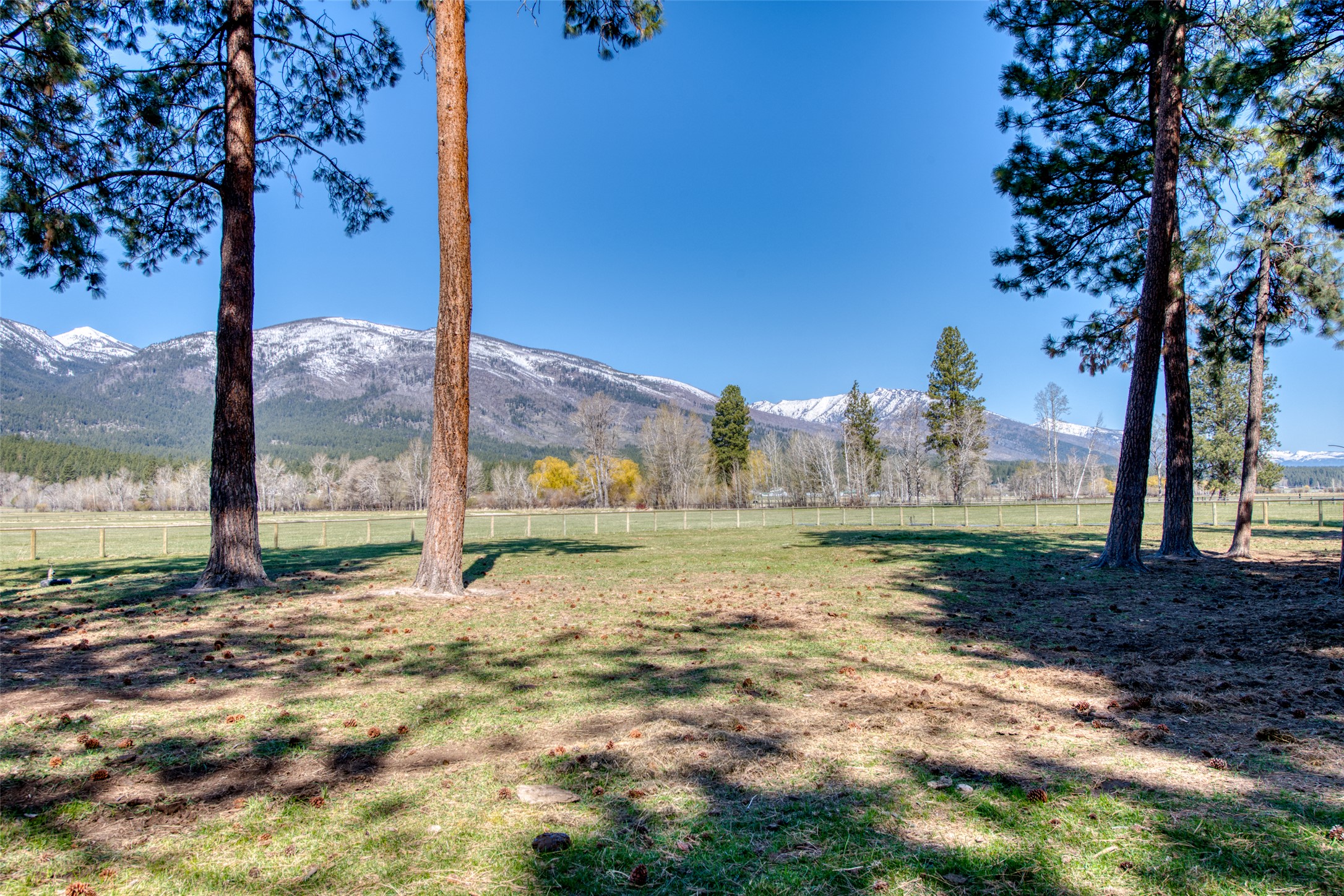 229 Camas Creek Loop Property Photo 89