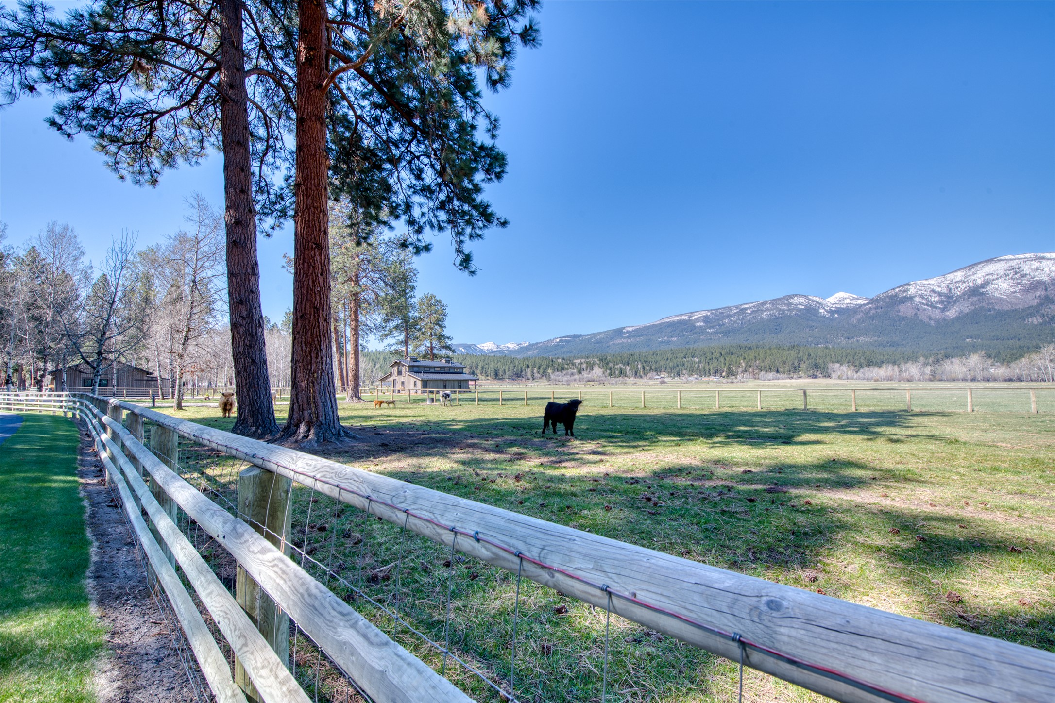 229 Camas Creek Loop Property Photo 90