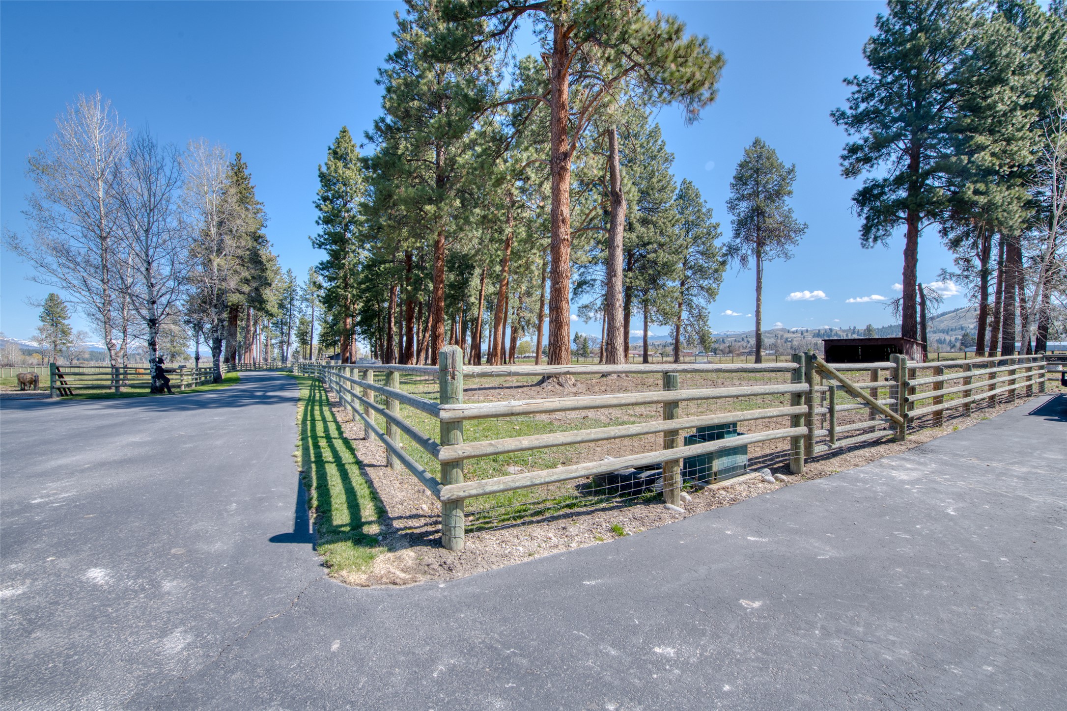 229 Camas Creek Loop Property Photo 91