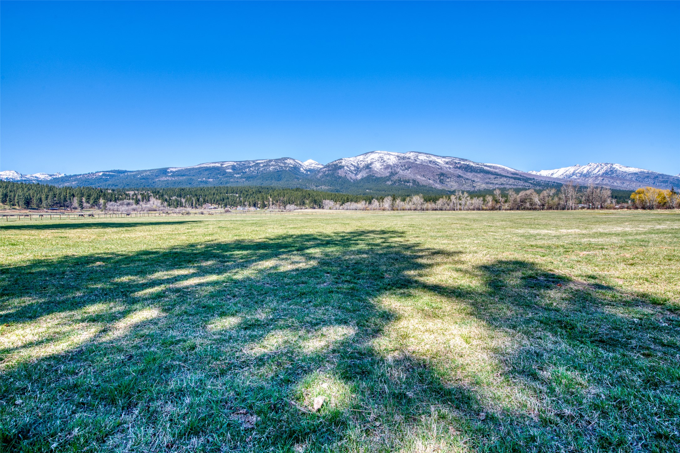 229 Camas Creek Loop Property Photo 97