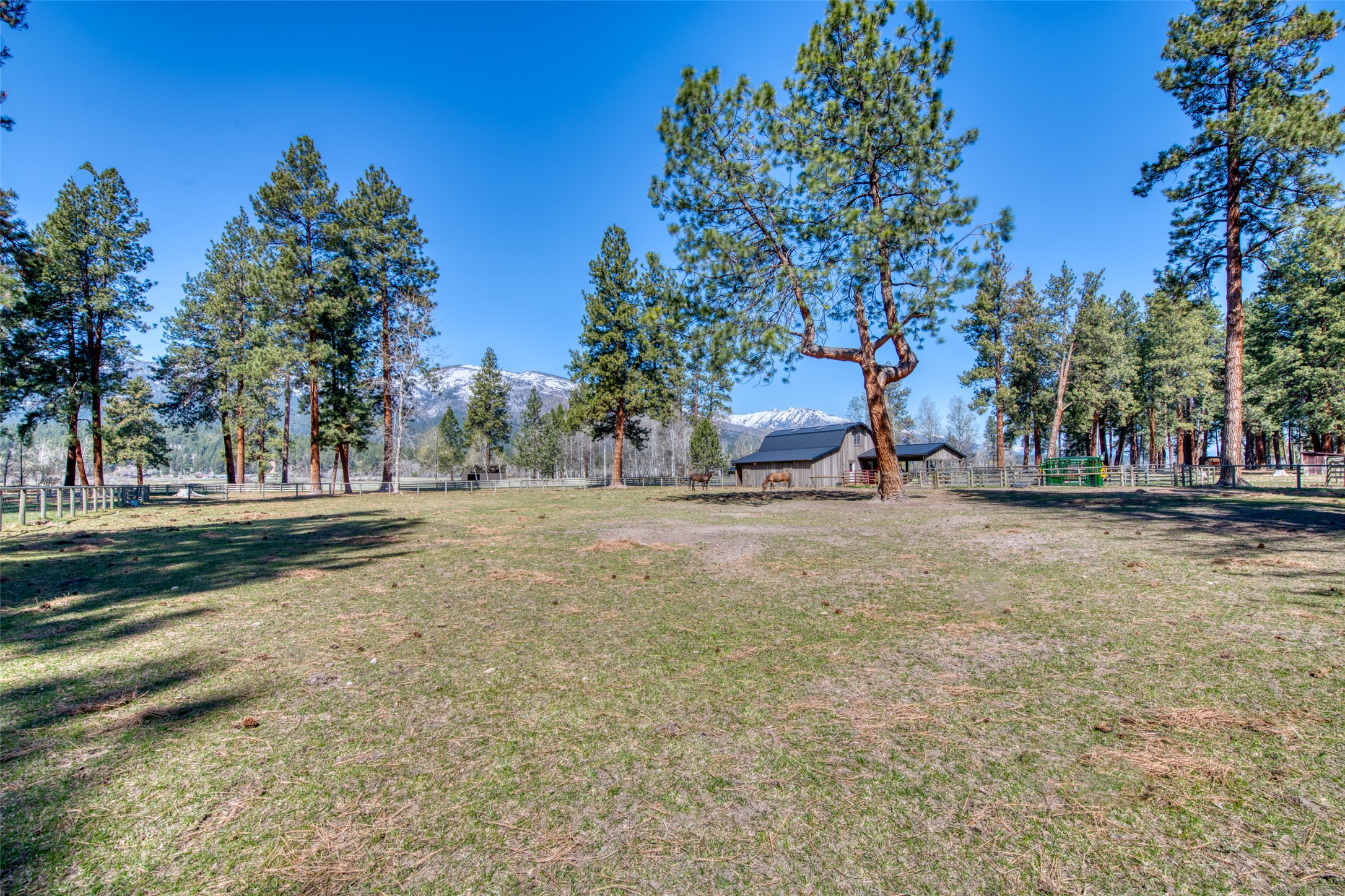 229 Camas Creek Loop Property Photo 101