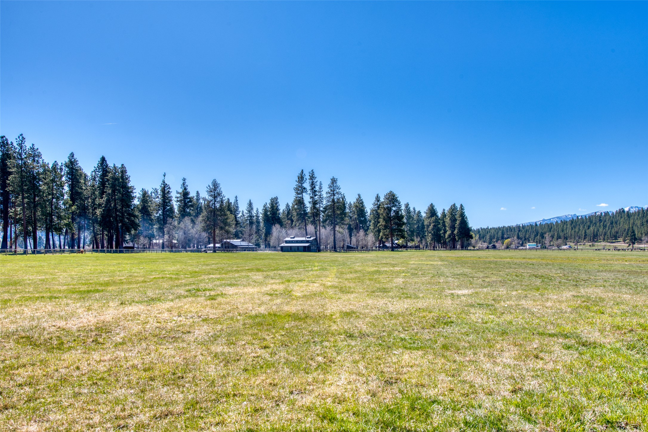 229 Camas Creek Loop Property Photo 102