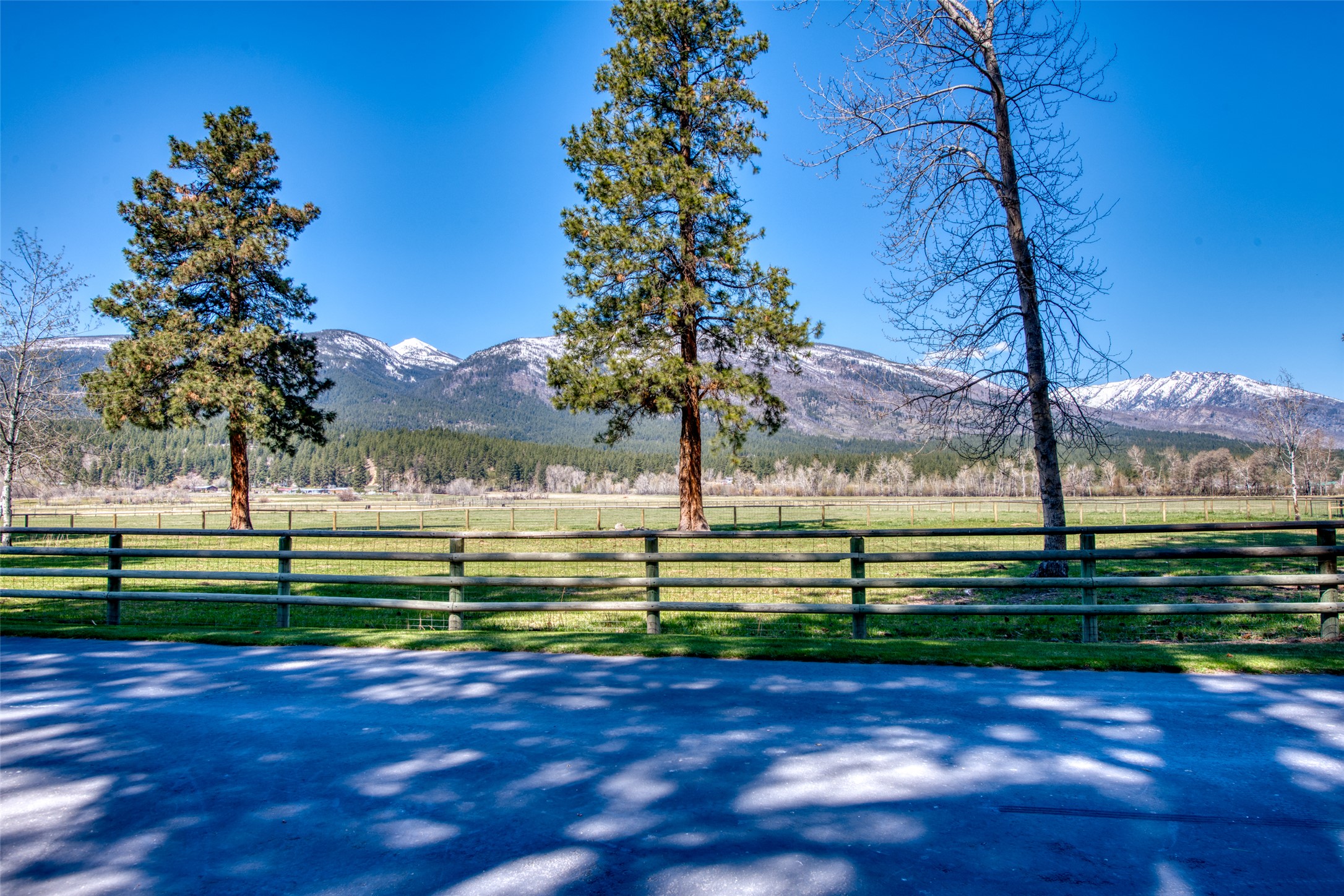 229 Camas Creek Loop Property Photo 104