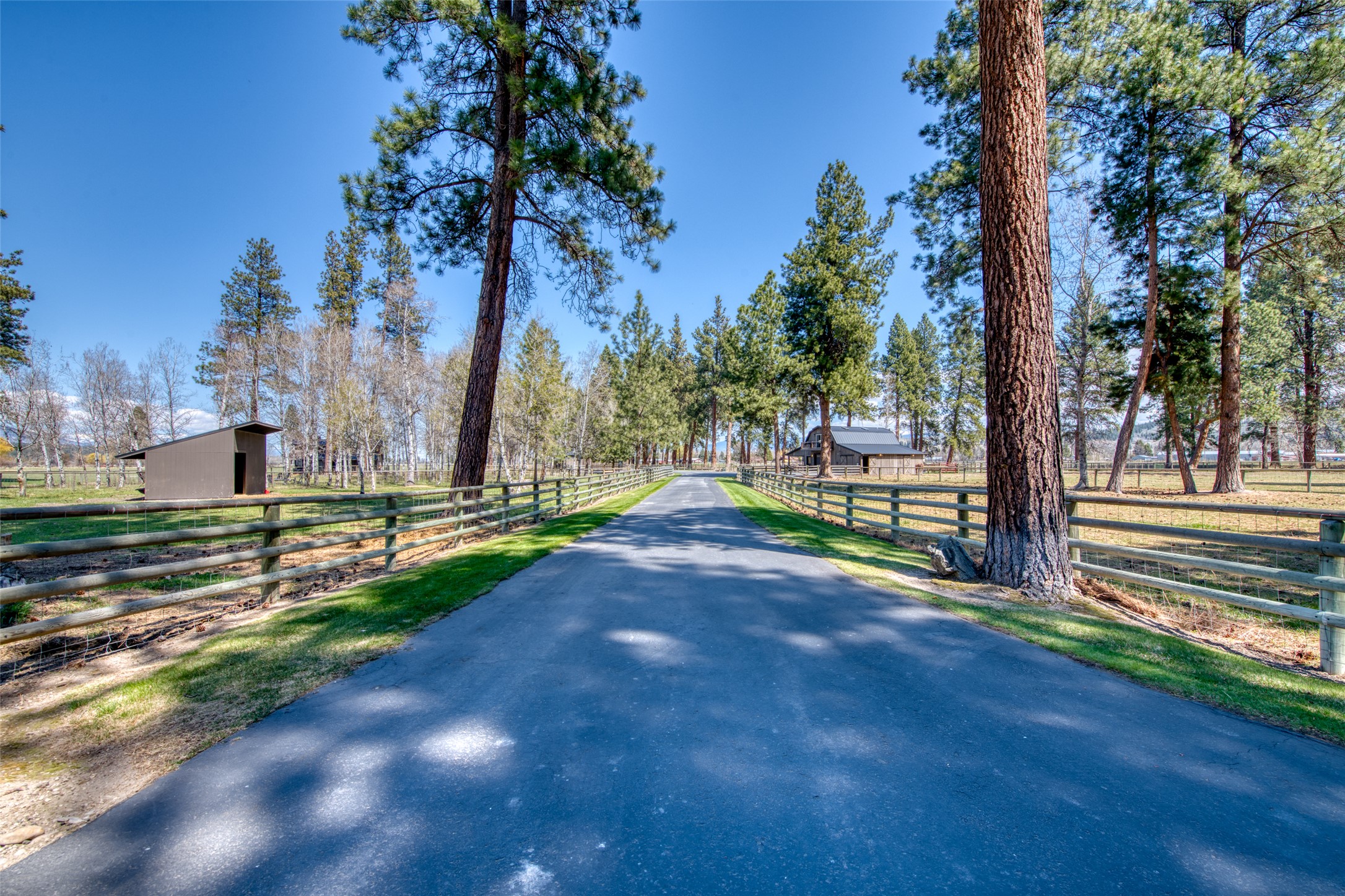 229 Camas Creek Loop Property Photo 105