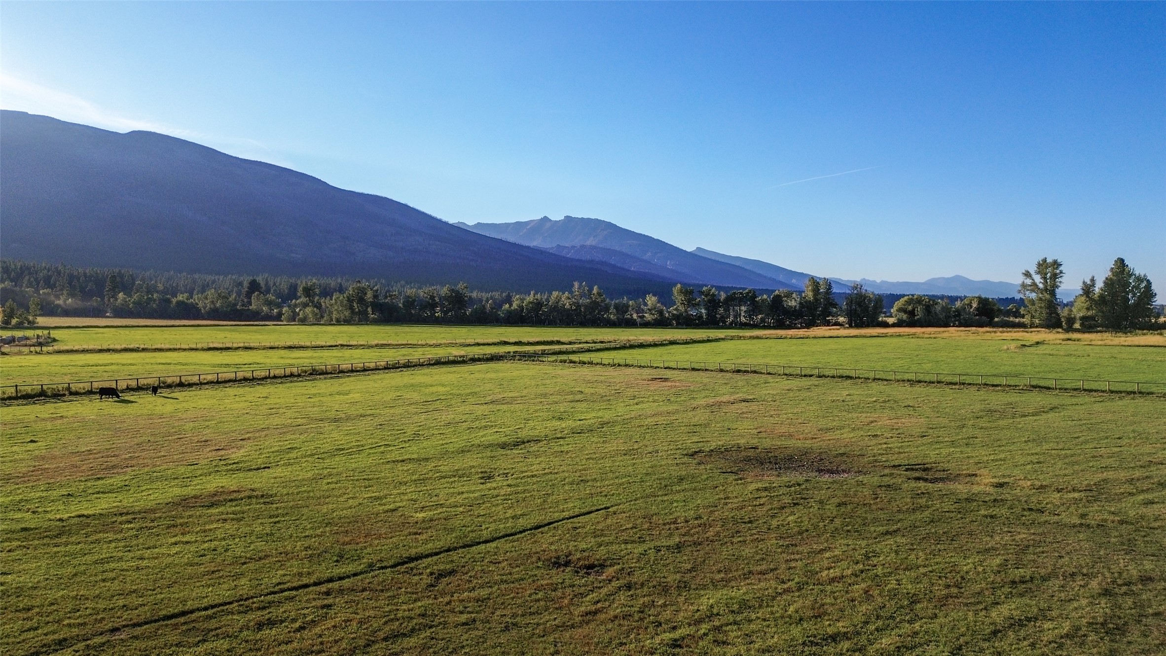 229 Camas Creek Loop Property Photo 107