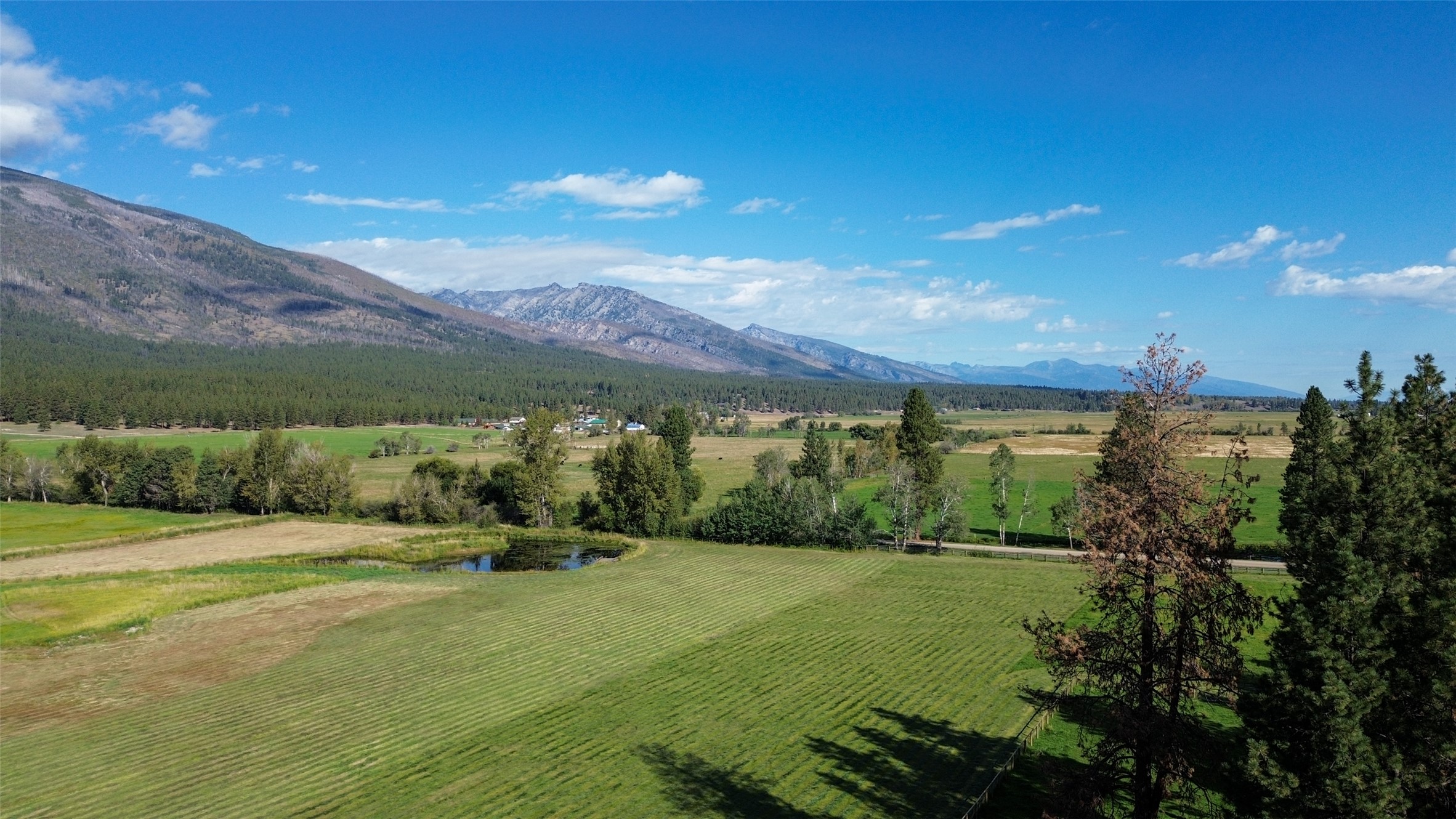 229 Camas Creek Loop Property Photo 109