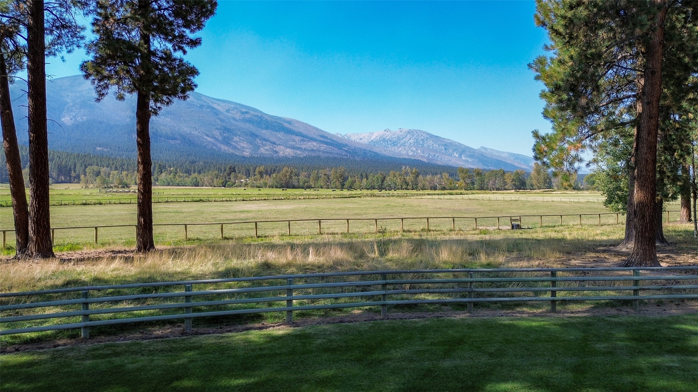 229 Camas Creek Loop Property Photo 110