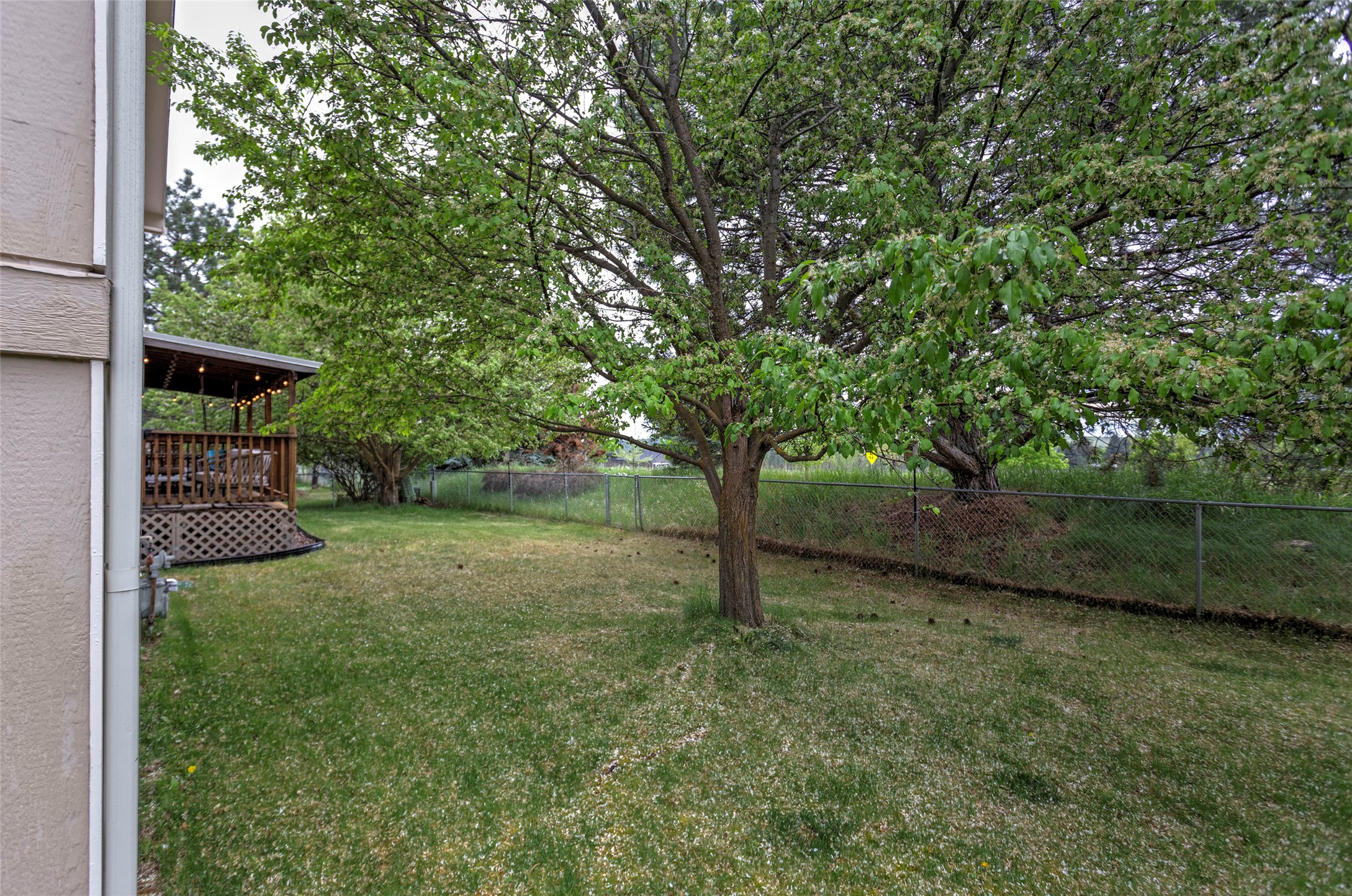 4271 Wild Fox Road Property Photo 39