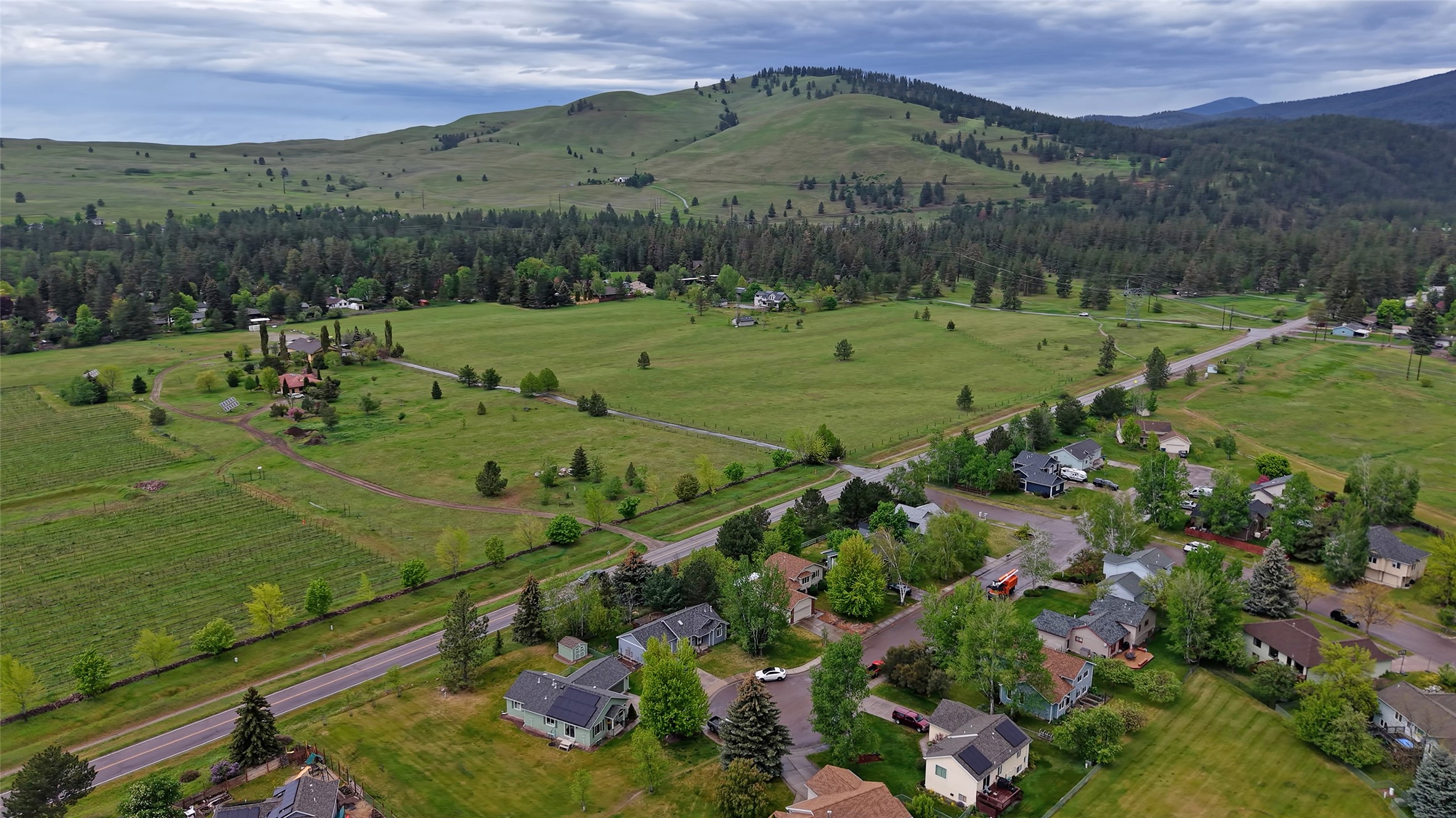 4271 Wild Fox Road Property Photo 42