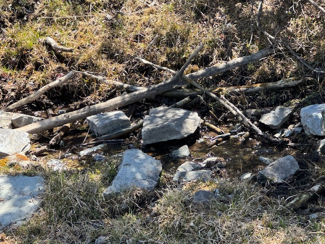 Tbd Keating Gulch Road Property Photo 21