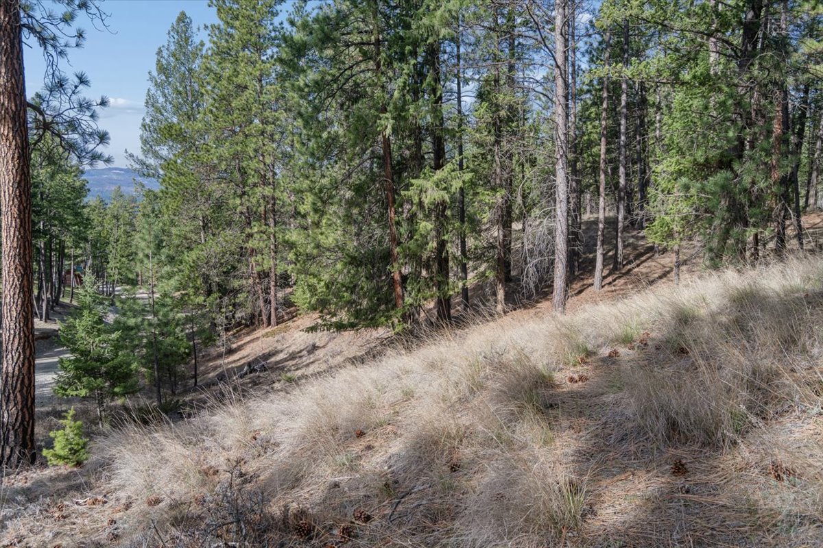 Nhn Cove Drive Property Photo 19