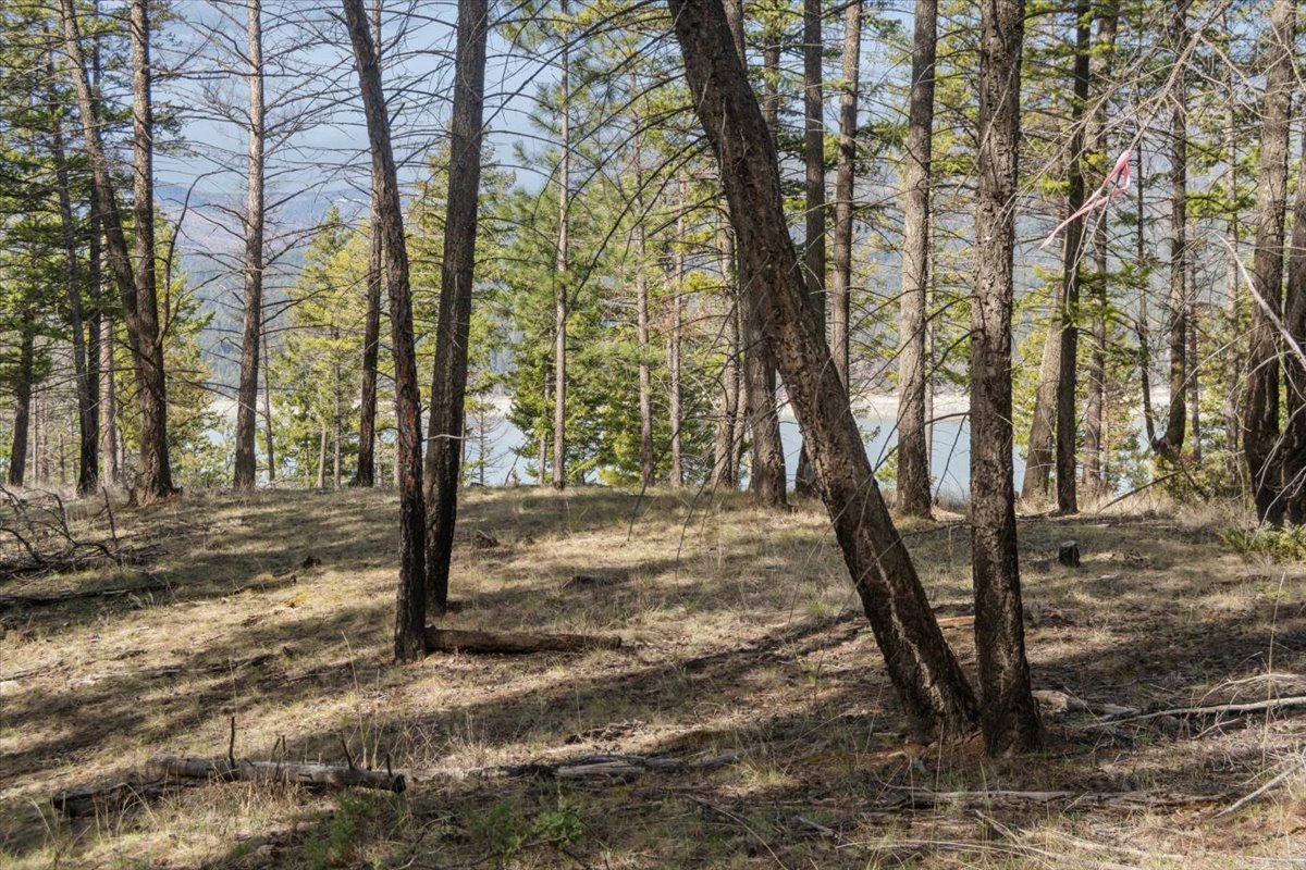 Nhn Cove Drive Property Photo 21
